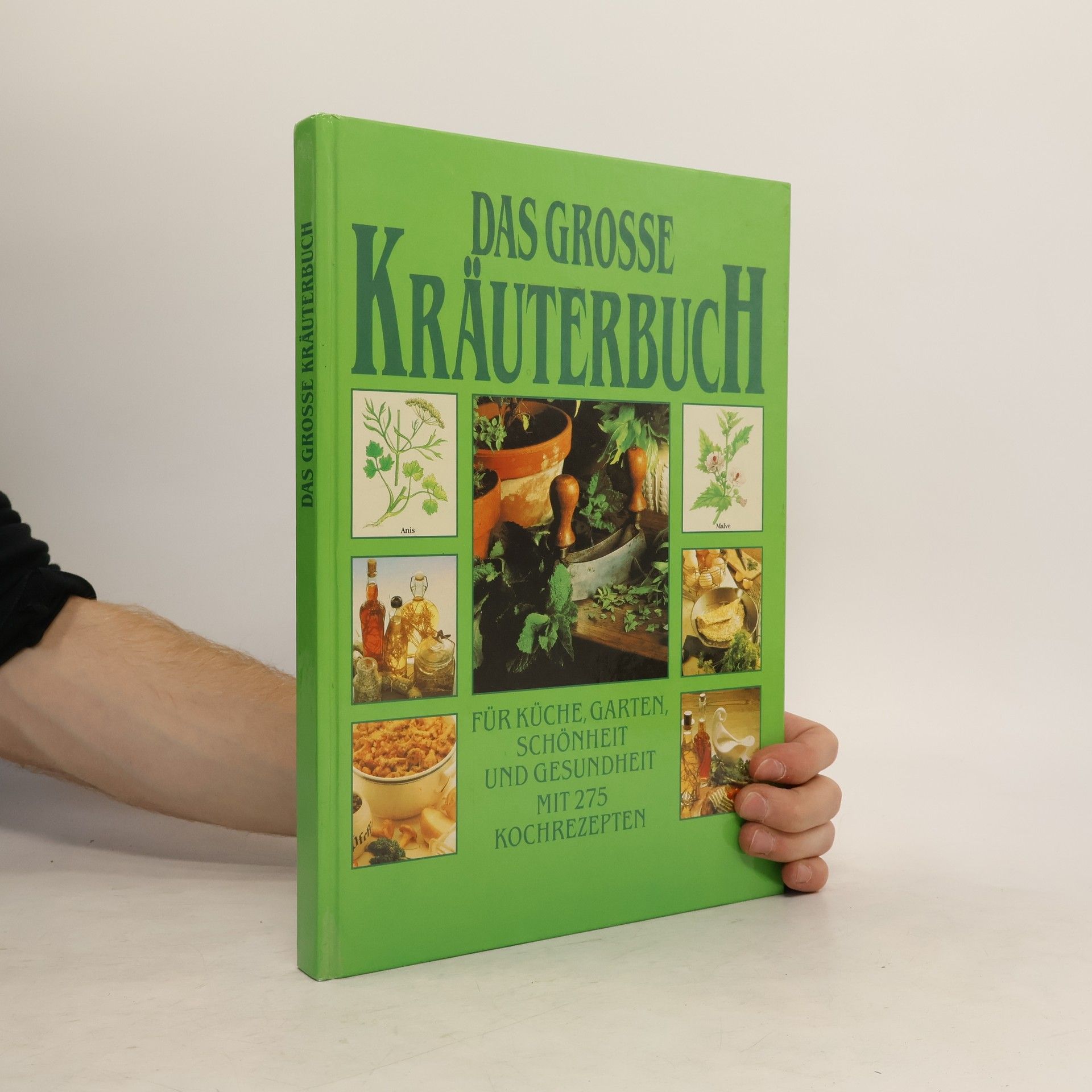 Collectif d'auteurs Das große Kräuterbuch