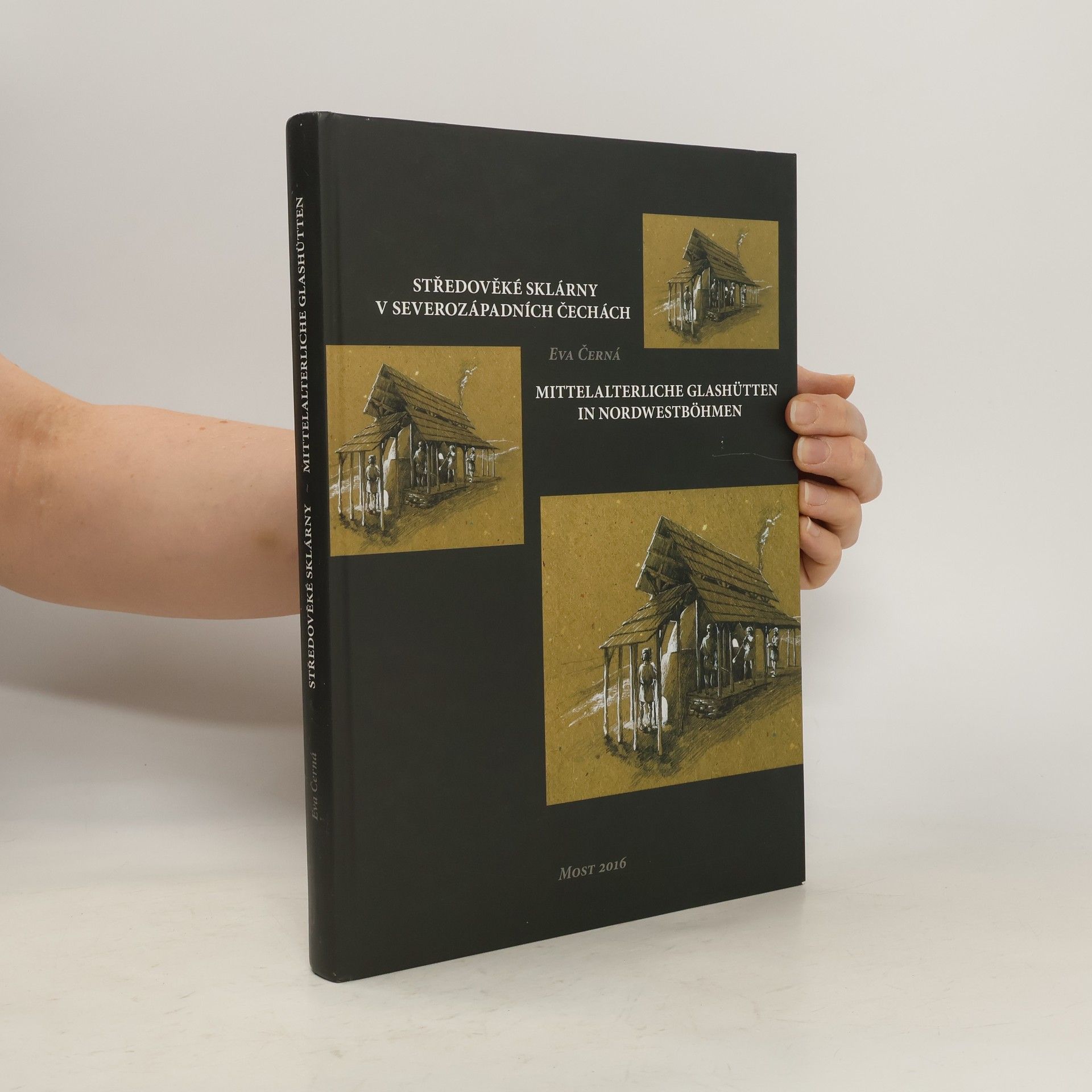 Středověké sklárny v severozápadních Čechách = Mittelalterliche Glashütten in Nordwestböhmen