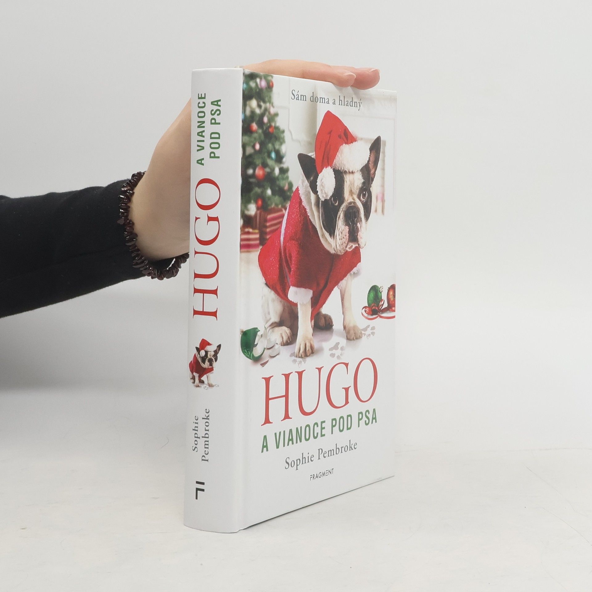 Sophie Pembroke Hugo a Vianoce pod psa