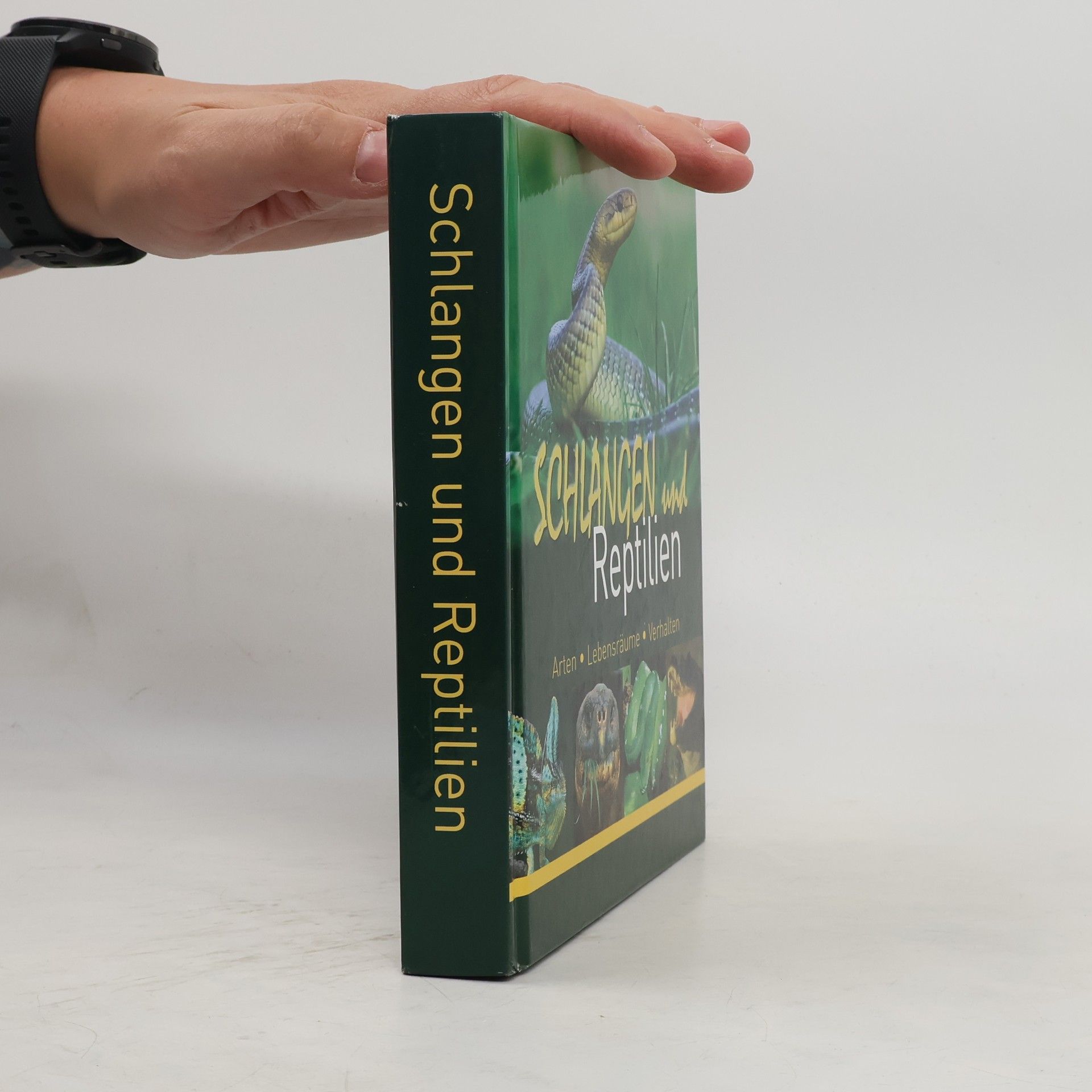 Autorenkollektiv Schlangen und Reptilien