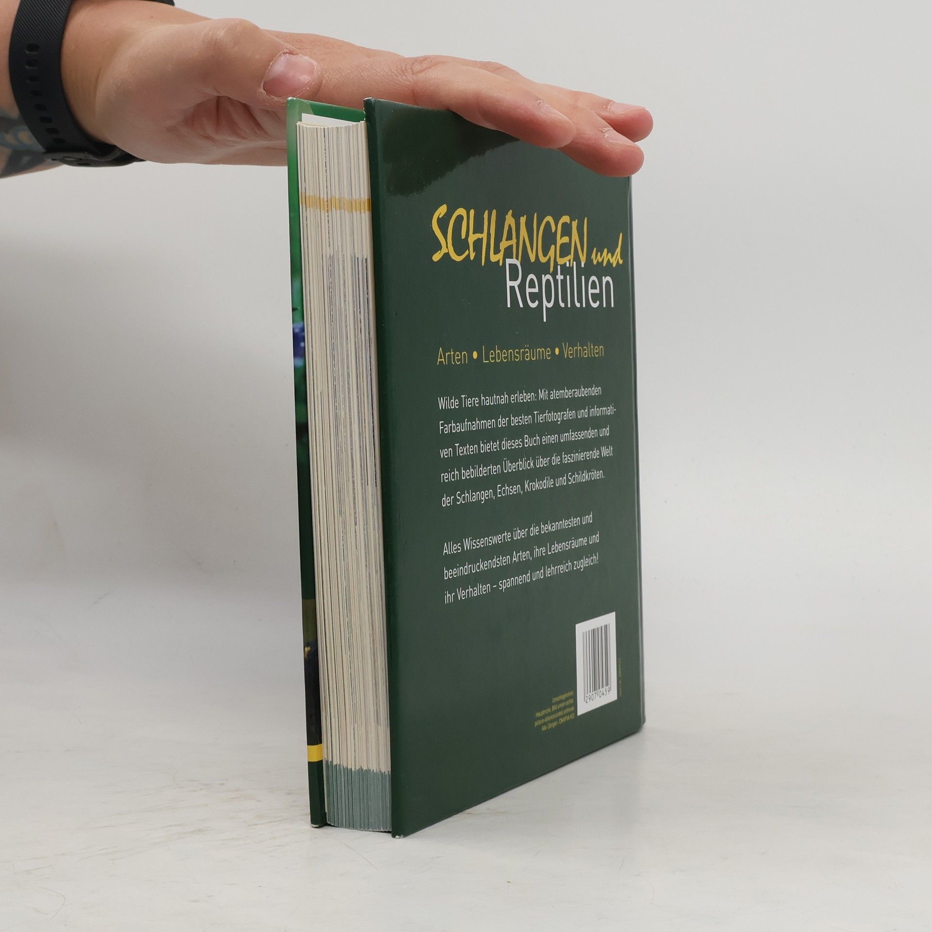 Autorenkollektiv Schlangen und Reptilien