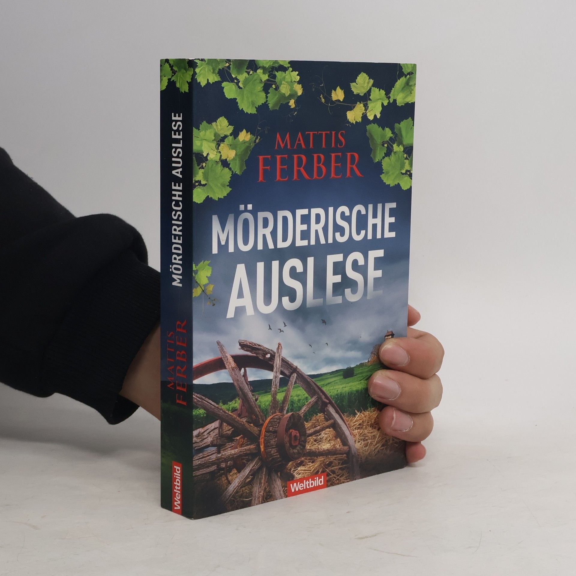 Mattis Ferber Mörderische Auslese