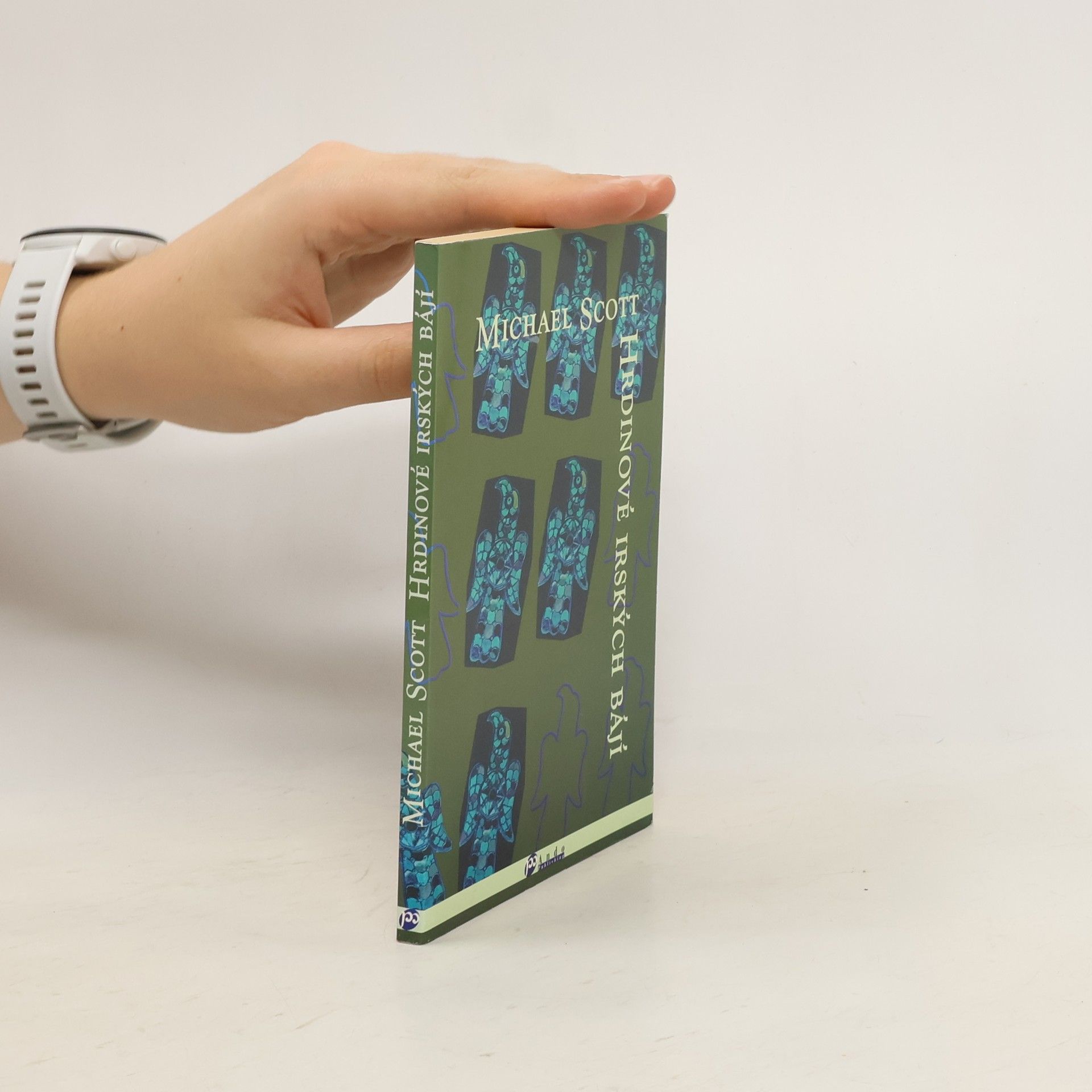 Michael Scott Hrdinové irských bájí