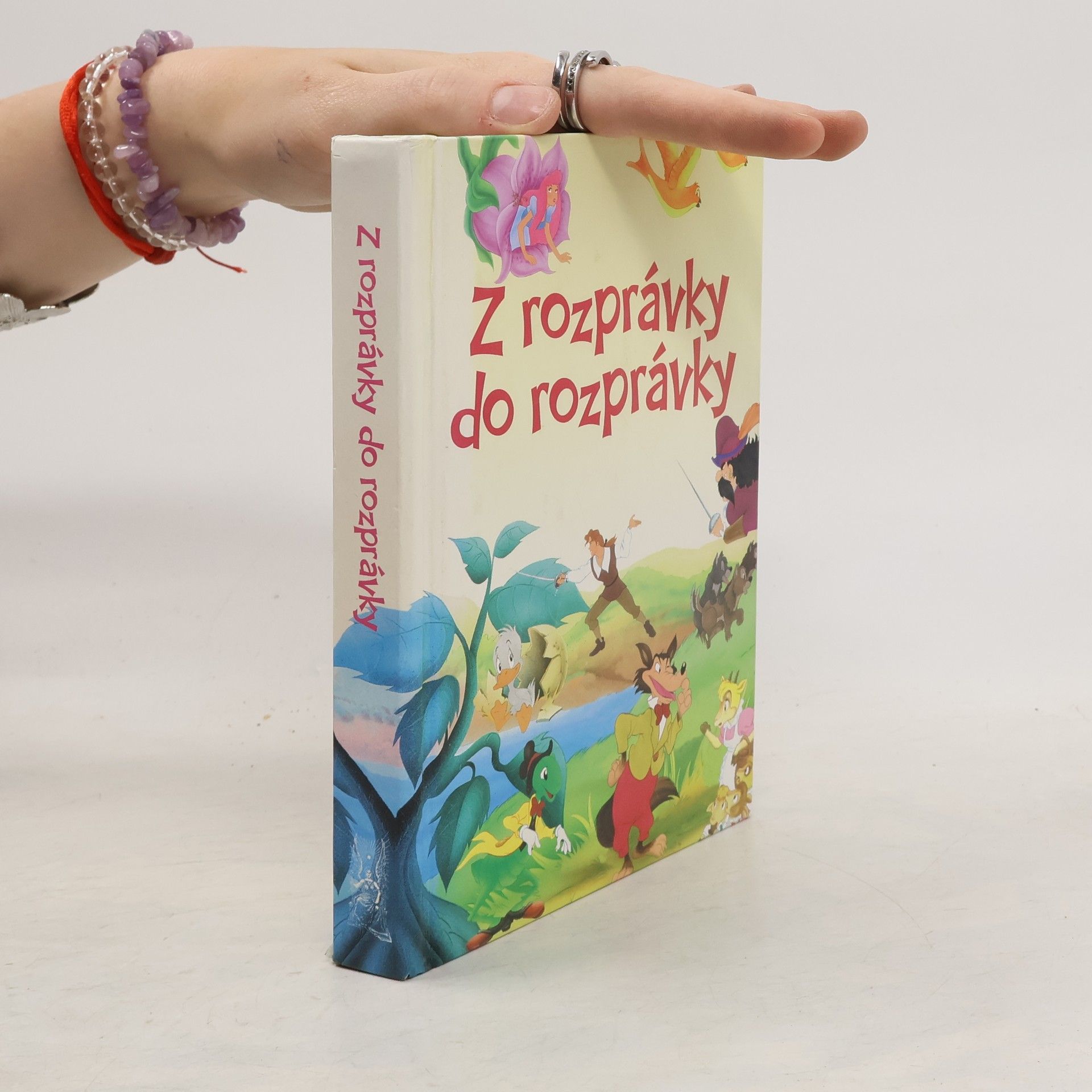 Autorenkollektiv Z rozprávky do rozprávky