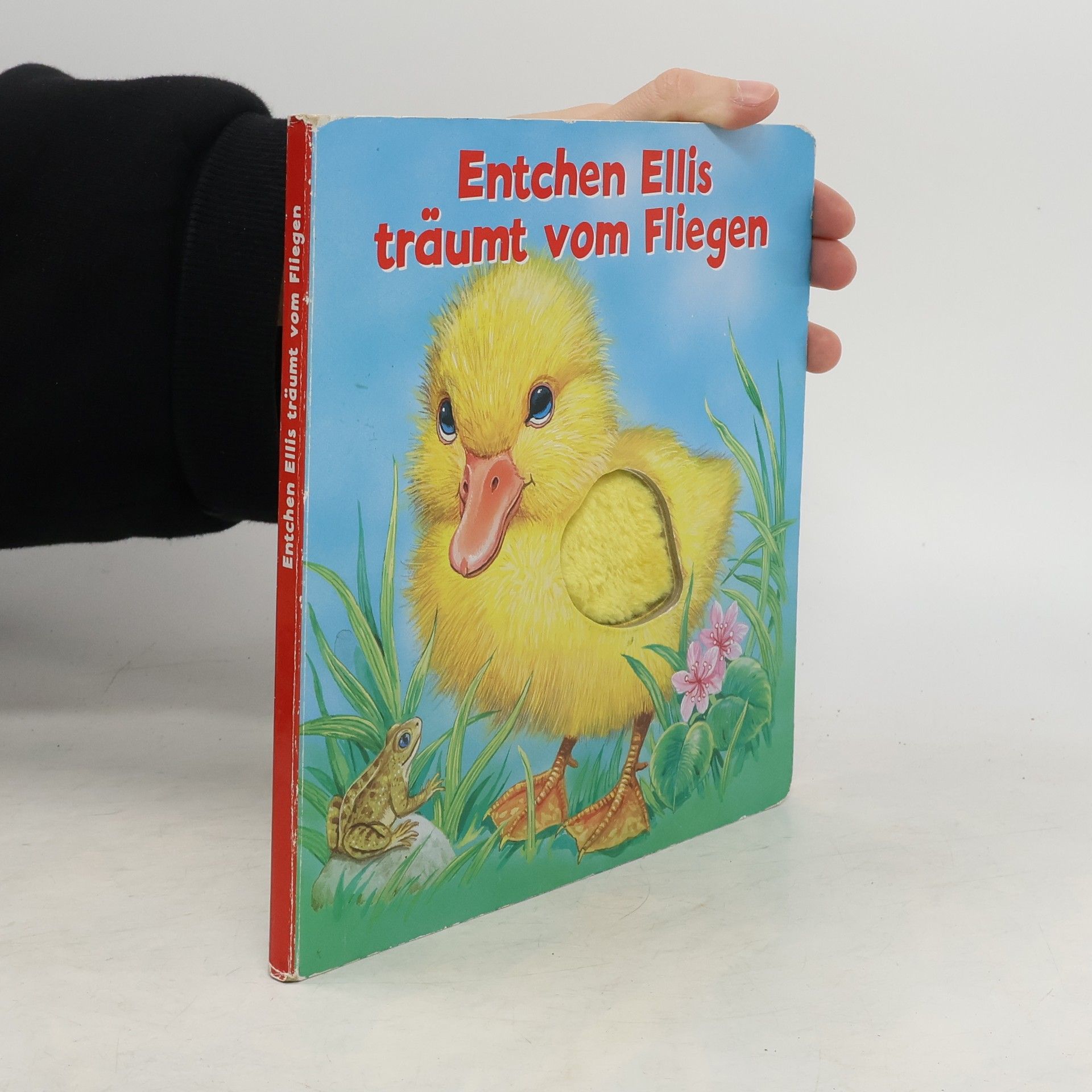kolektiv Entchen Ellis träumt vom Fliegen