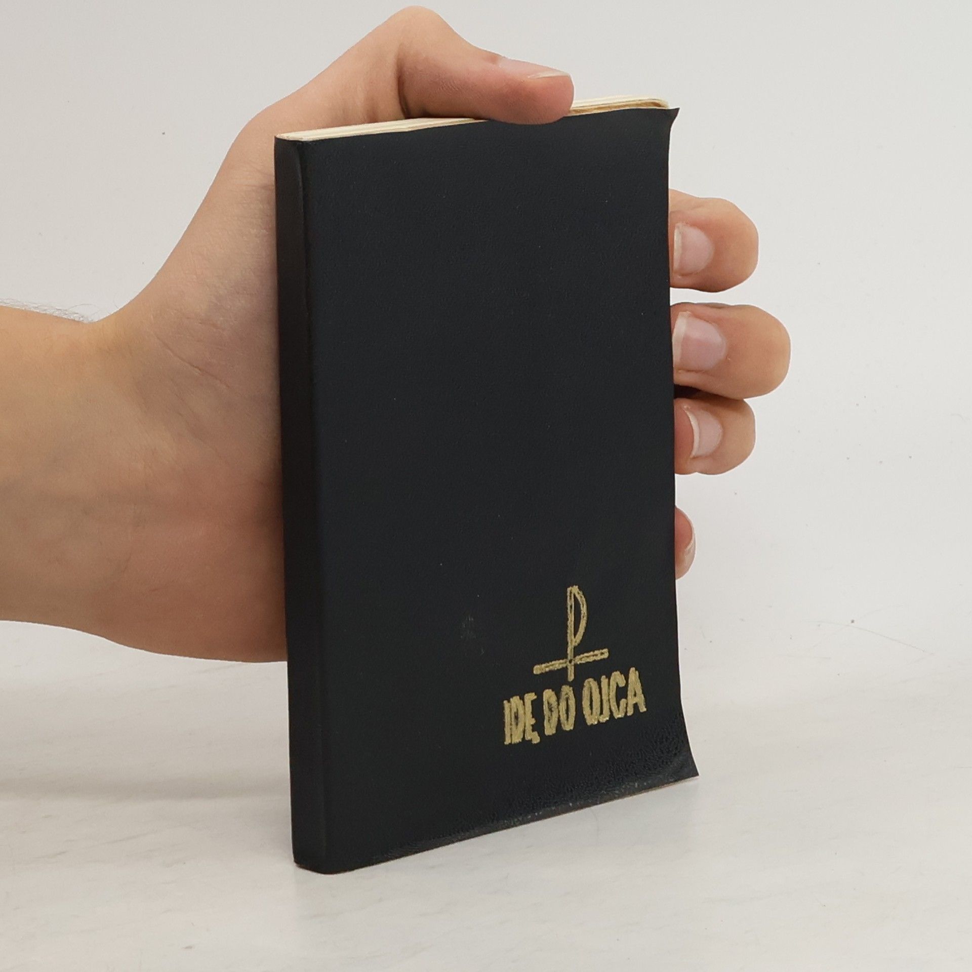 Auteurscollectief Idę do ojca