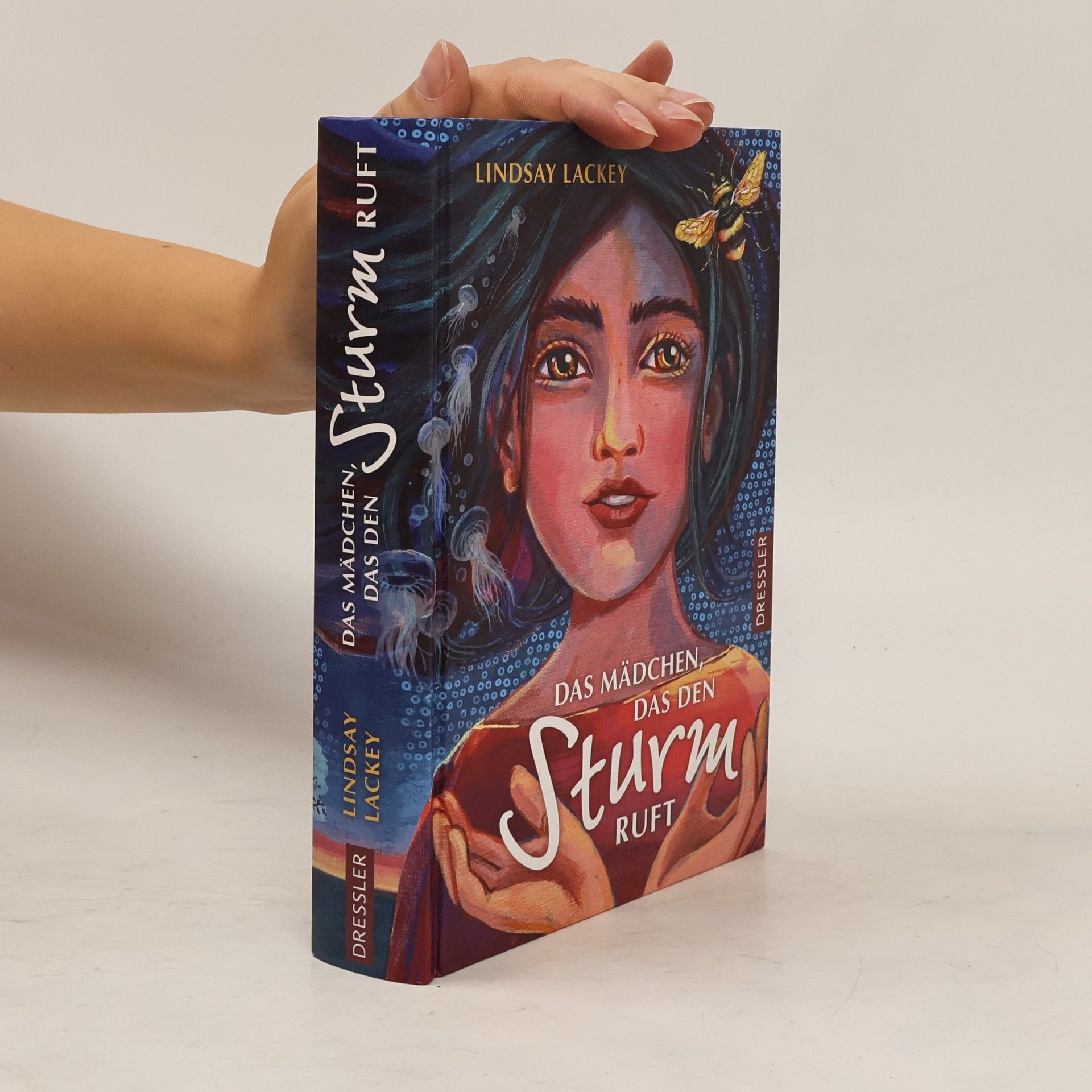 Lindsay Lackey Das Mädchen das den Sturm ruft