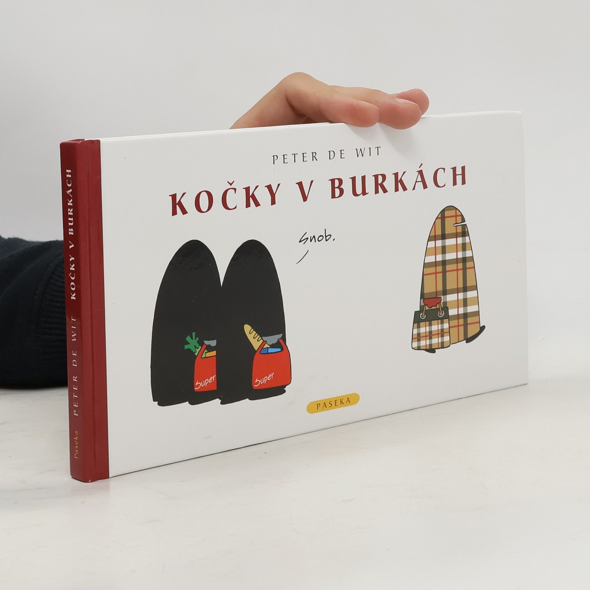 Peter de Wit Kočky v burkách