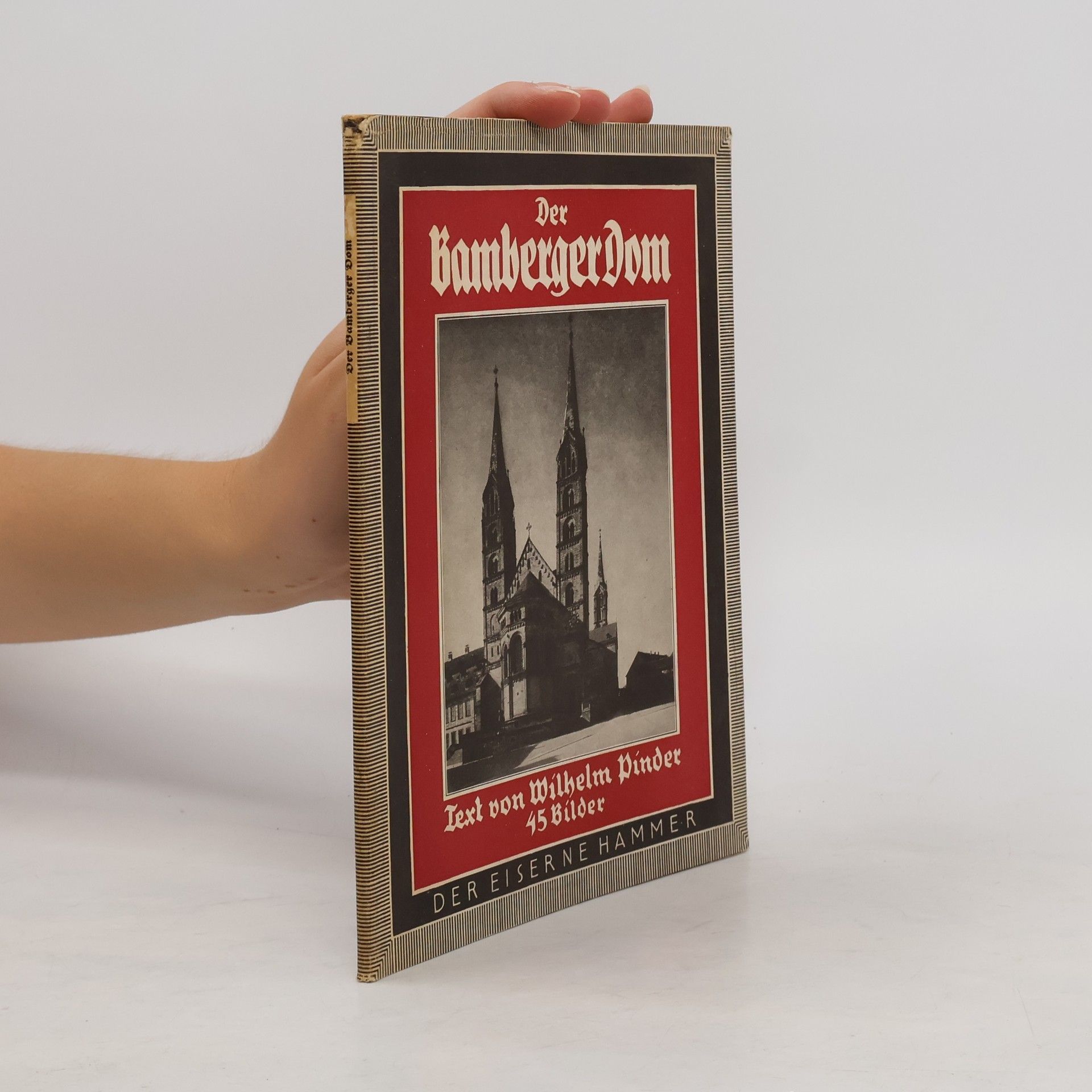 Collectif d'auteurs Der Hamburger Dom in 45 Bildern