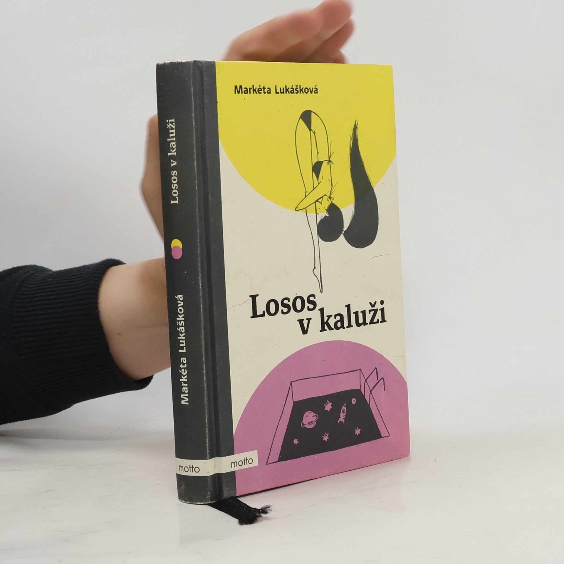 Markéta Lukášková Losos v kaluži