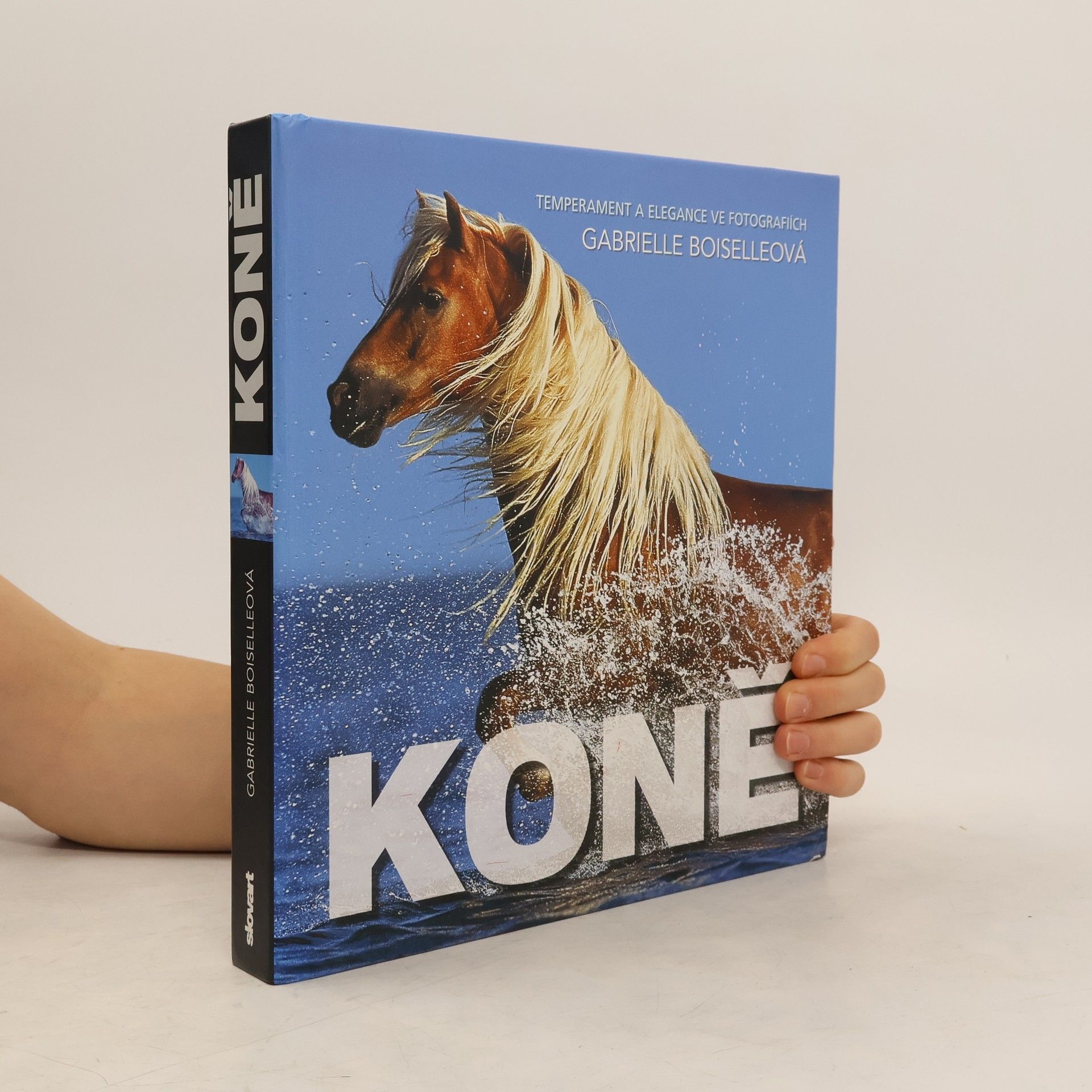 Koně - Temperament a elegance ve fotografiích