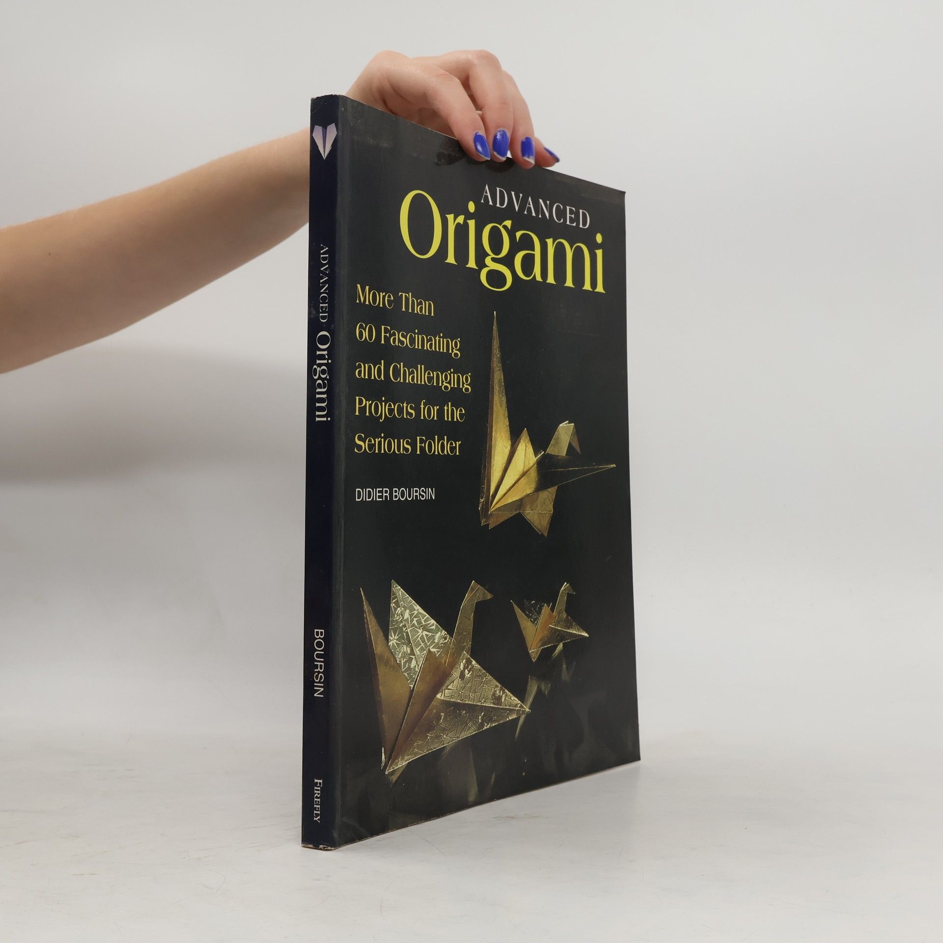 Didier Boursin Advanced Origami