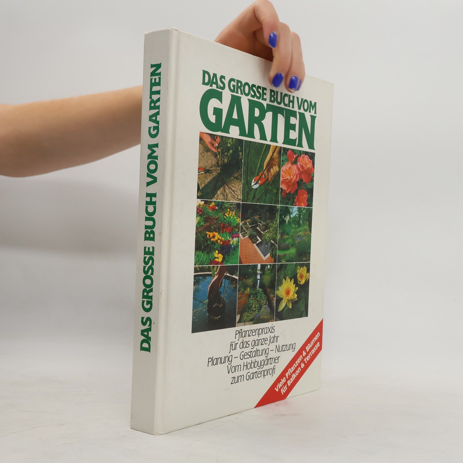 Collectif d'auteurs Das grosse Buch vom Garten