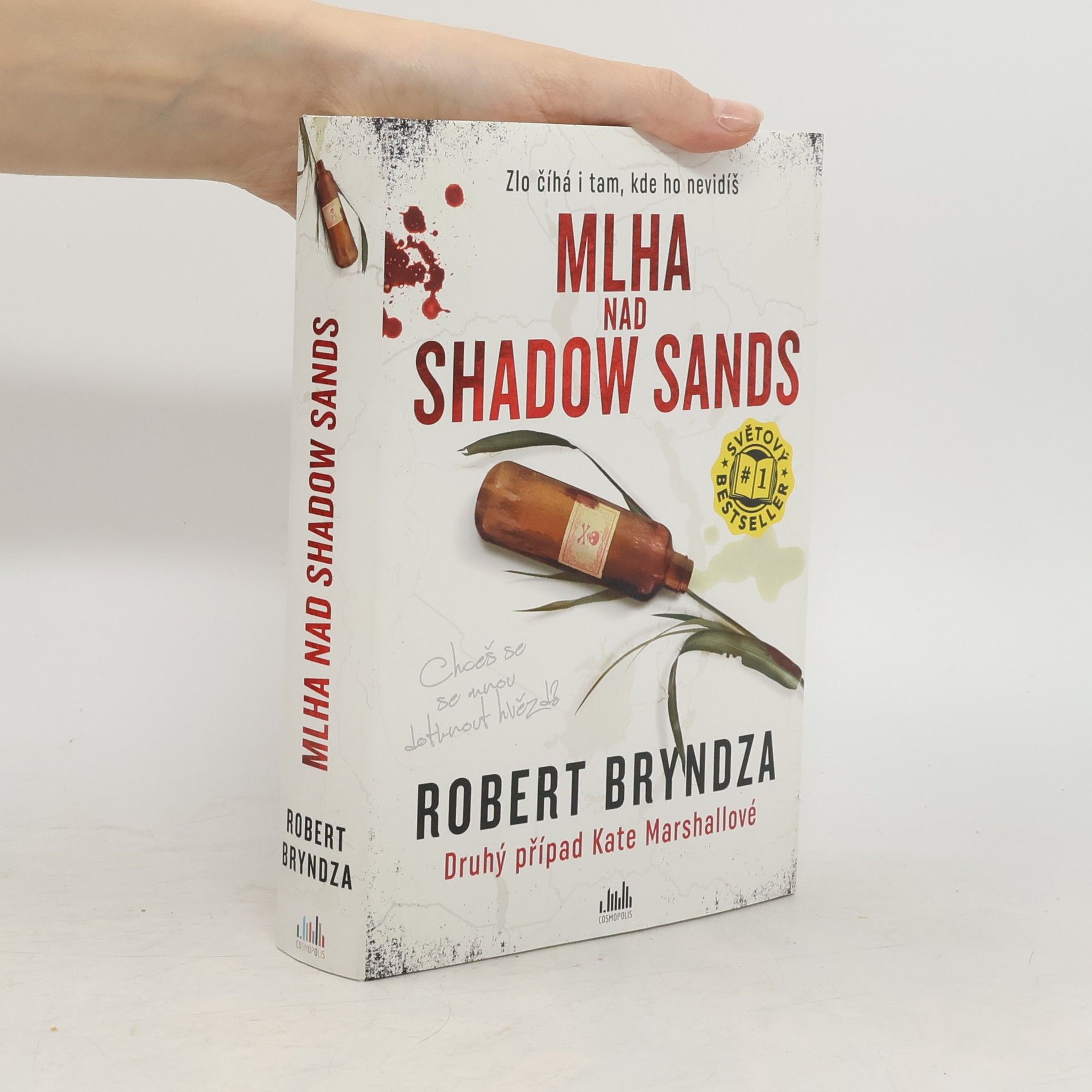 Robert Bryndza Mlha nad Shadow Sands