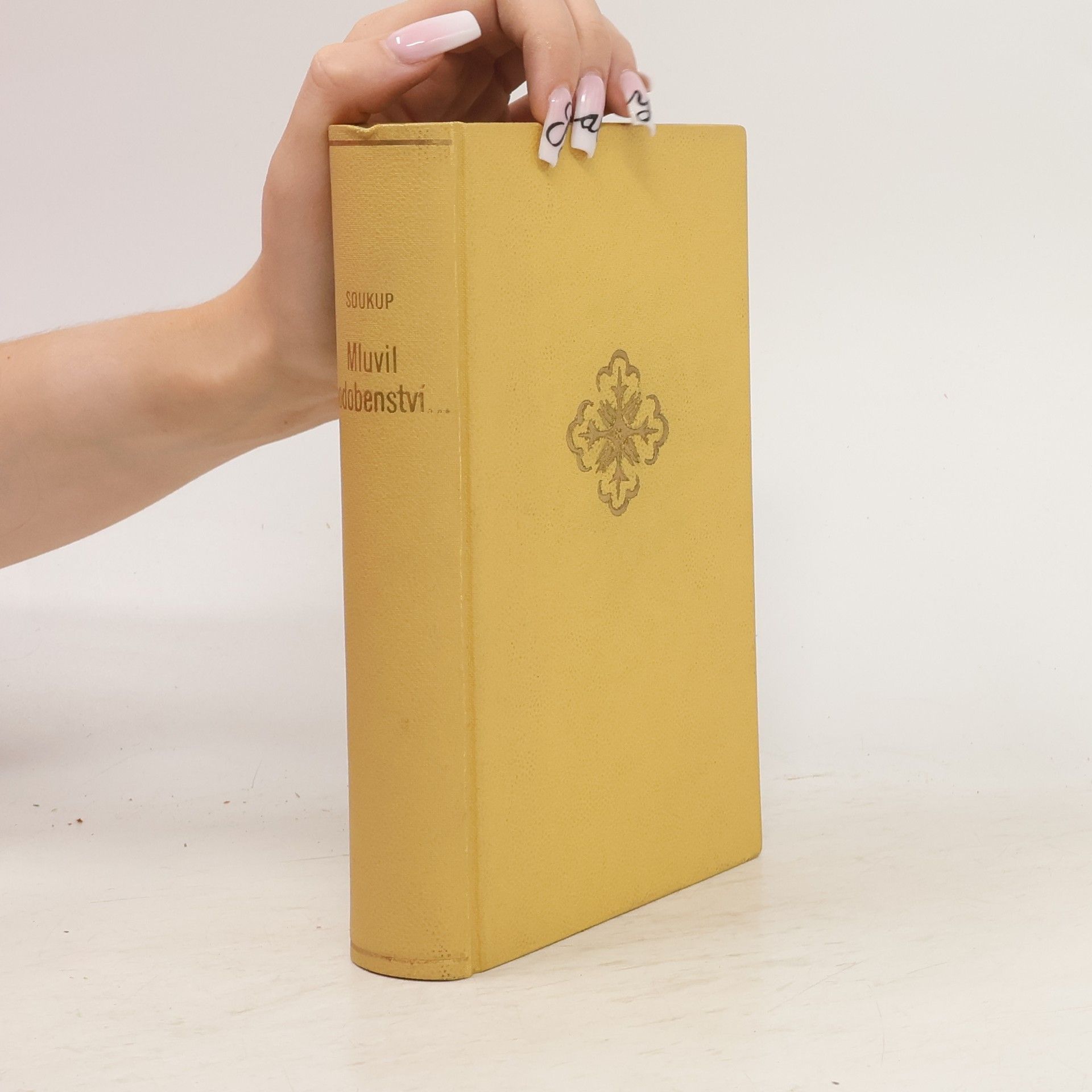 Mluvil v podobenstvích ... : 600 příkladů o náboženském životě naší doby