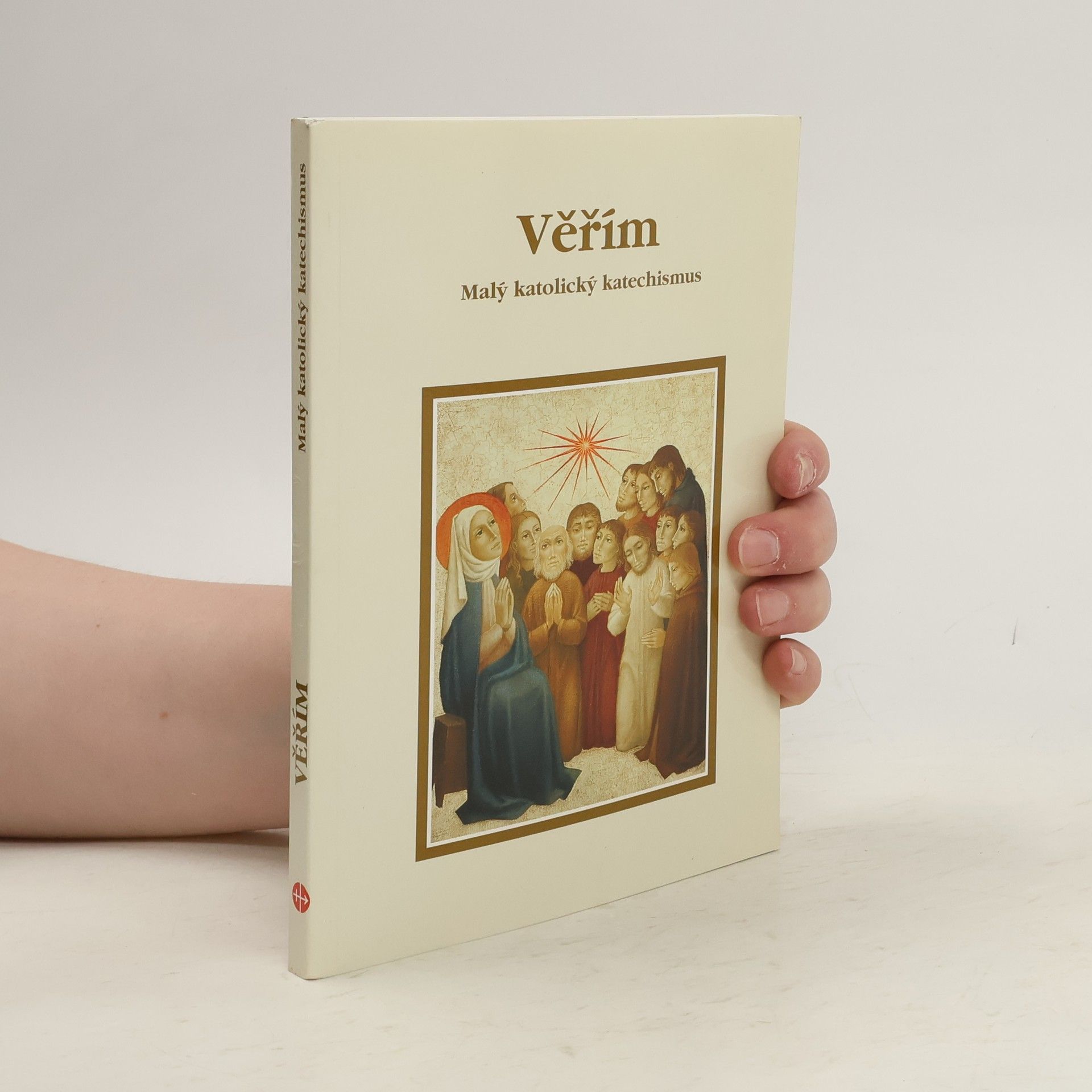Kolektiv autorů Verím. Malý katolícky katechizmus