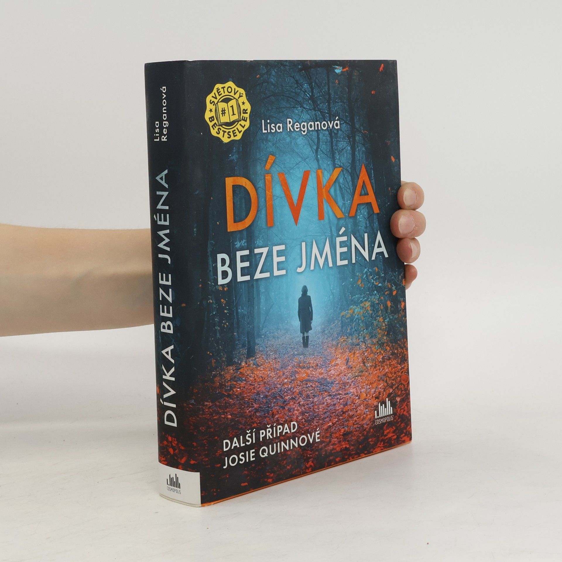 Lisa Regan Dívka beze jména: Další případ Josie Quinnové