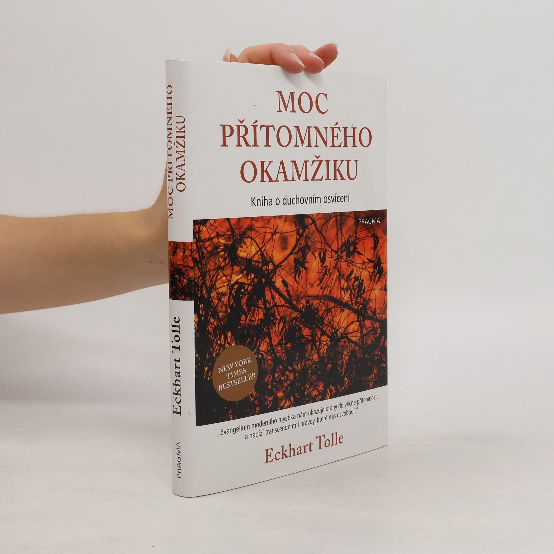 Eckhart Tolle Moc přítomného okamžiku