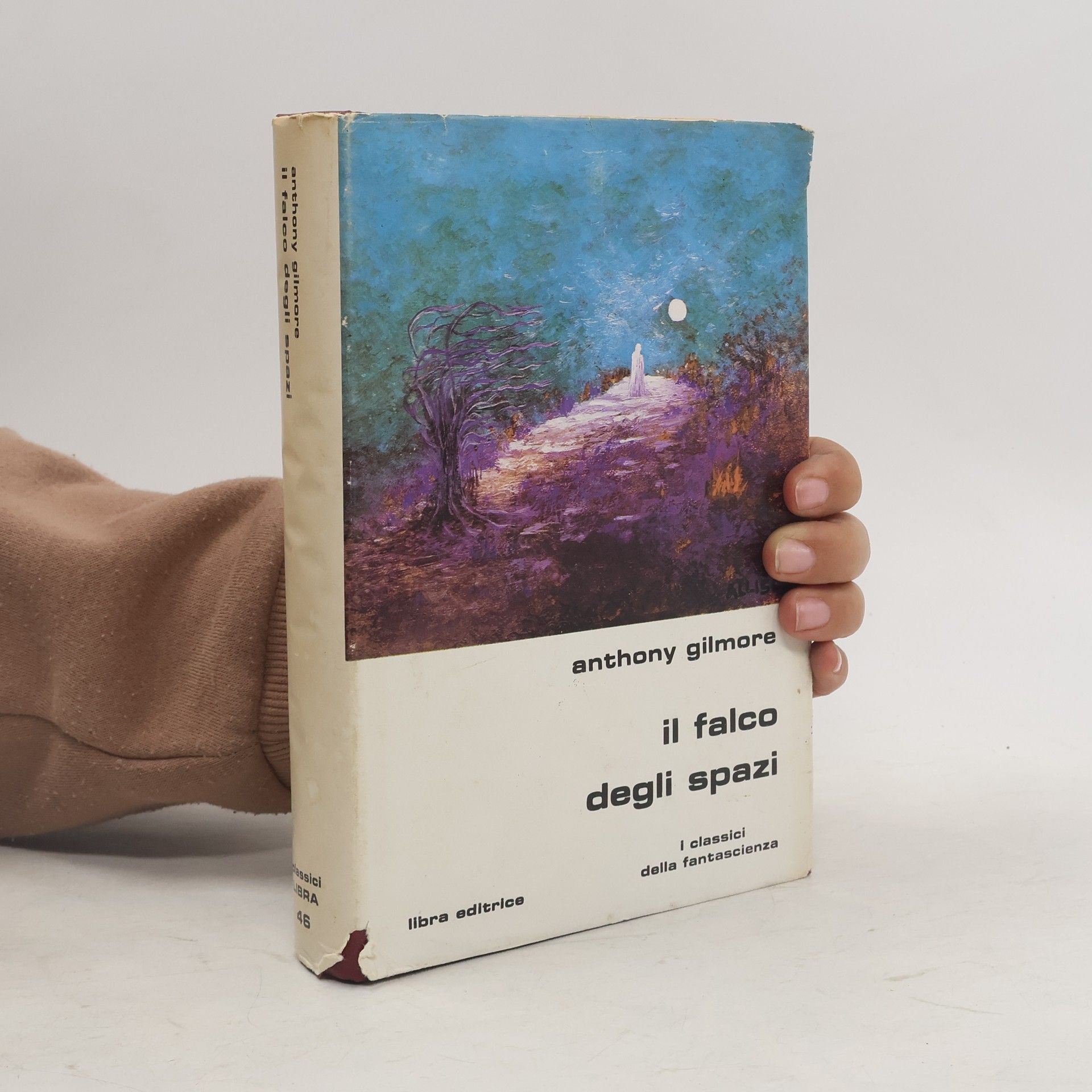 Il Falco degli spazi