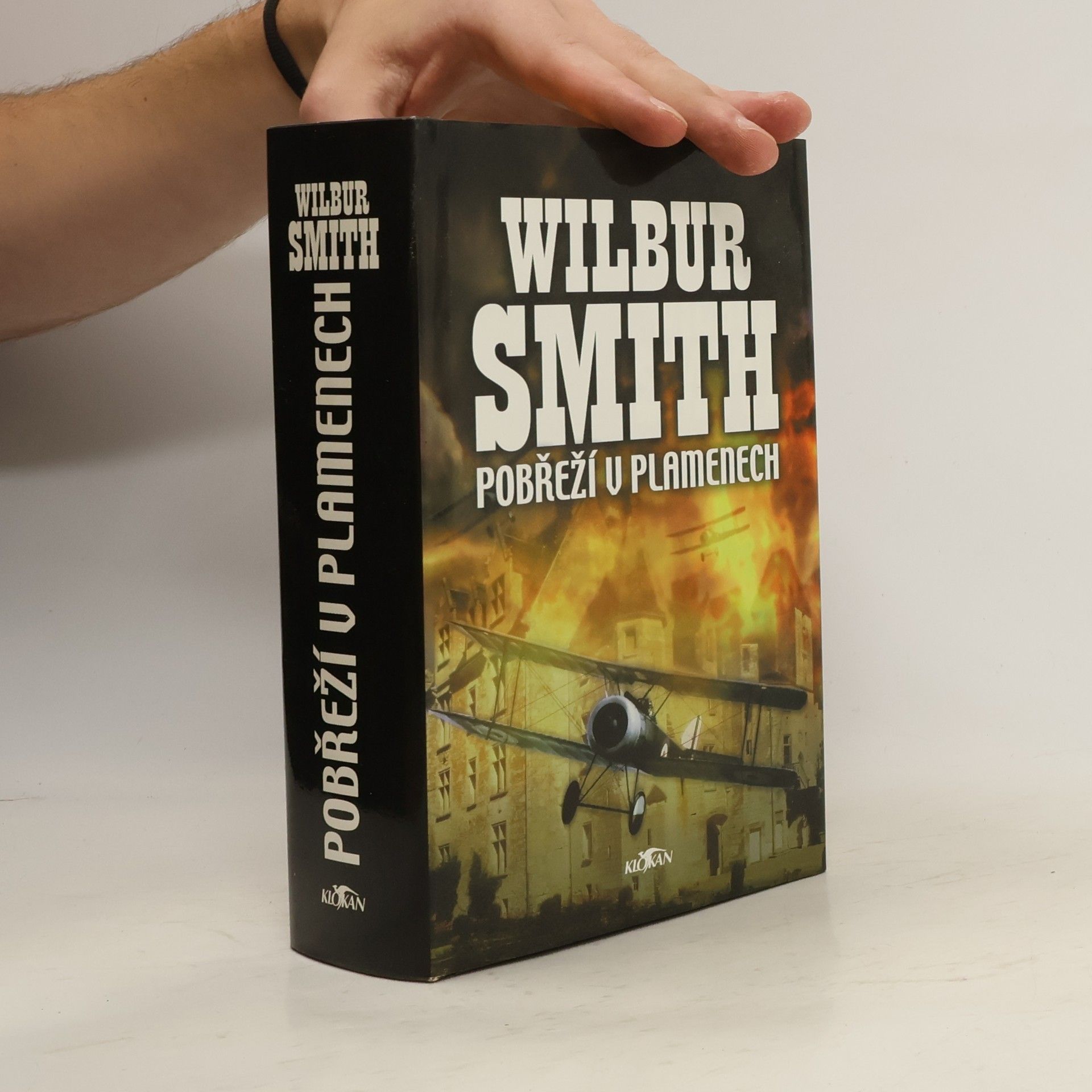 Pobřeží v plamenech