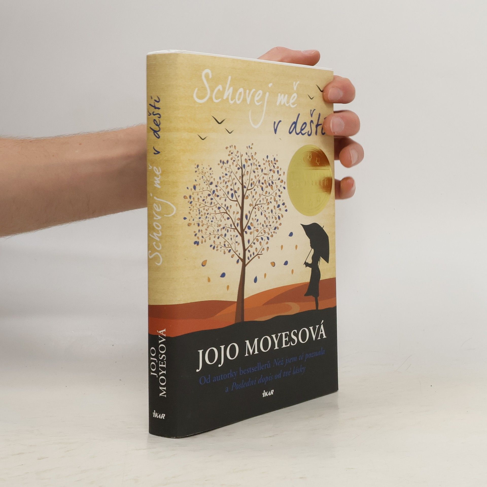 Jojo Moyes Schovej mě v dešti