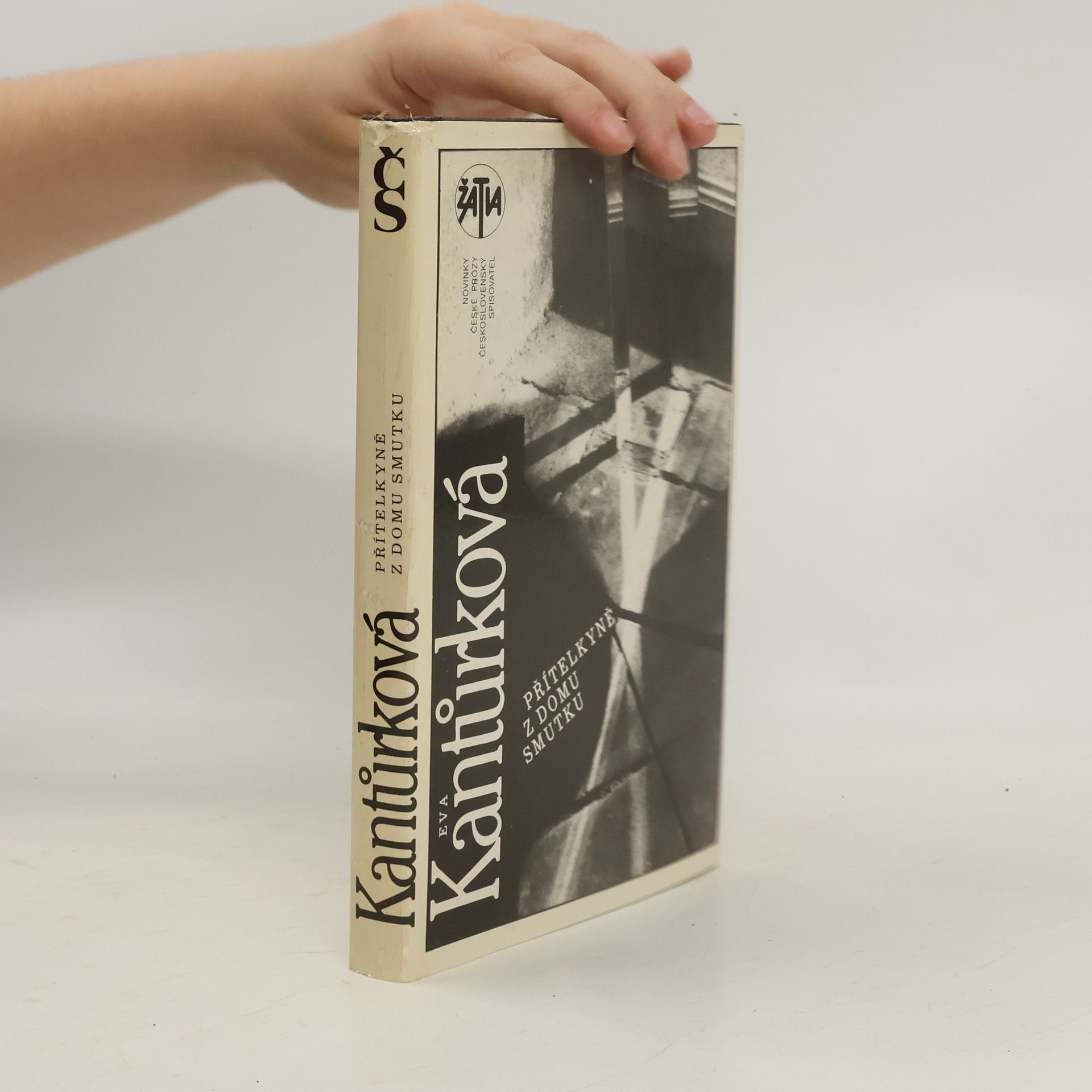 Eva Kantůrková Přítelkyně z domu smutku