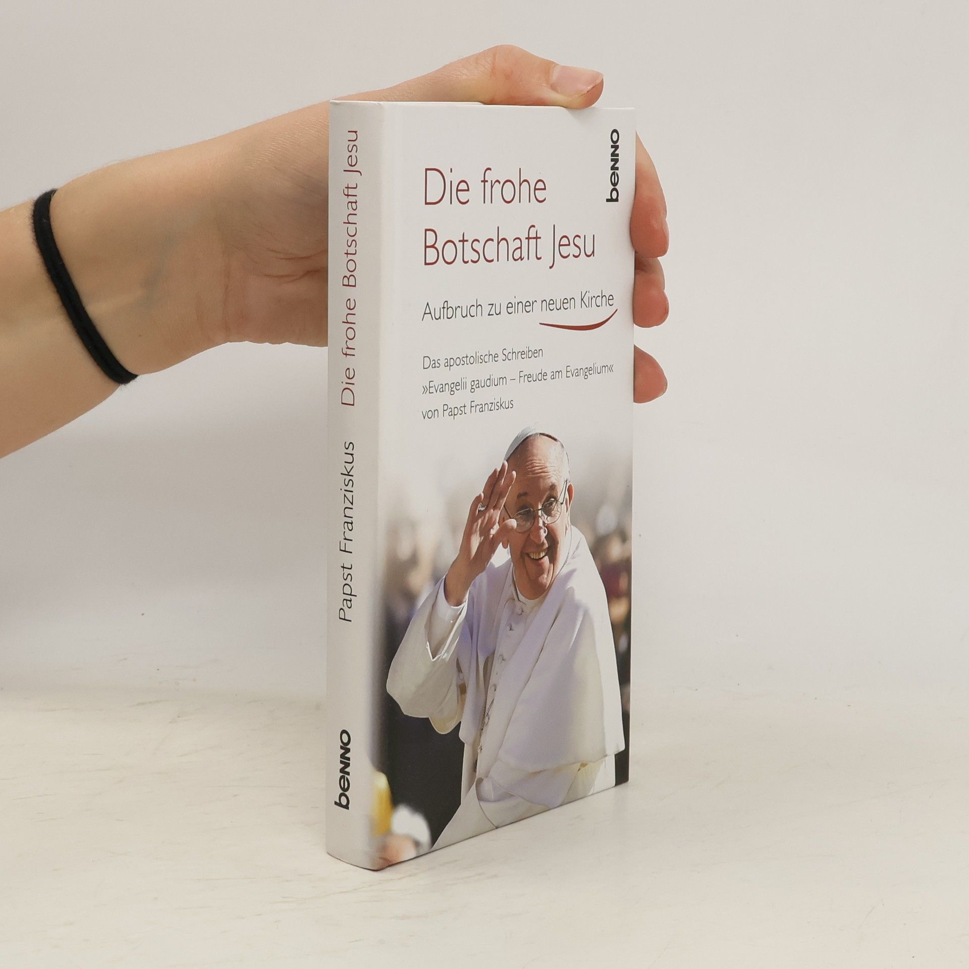 Papež František Die frohe Botschaft Jesu