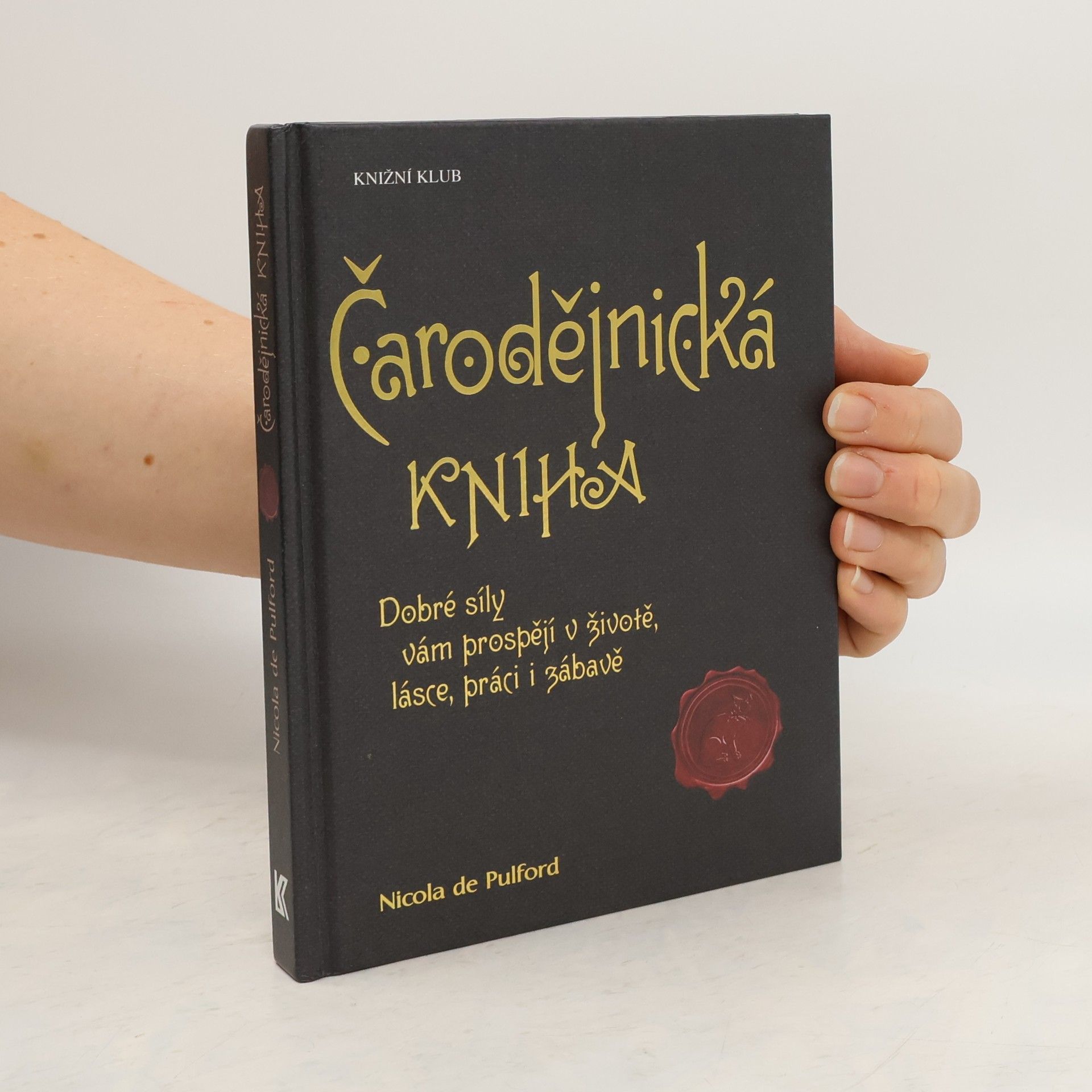 Čarodějnická kniha