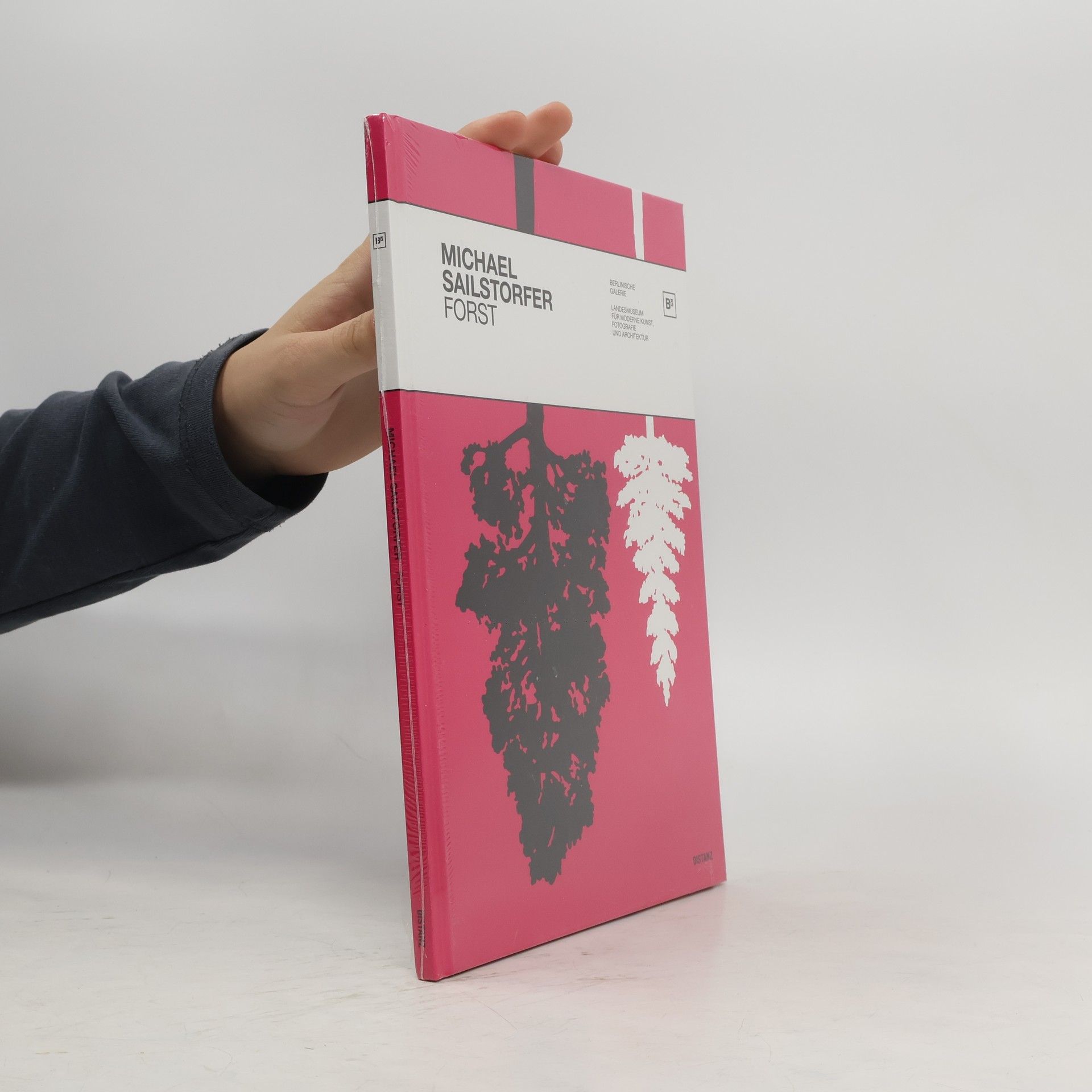 AA.VV. Michael Sailstorfer - Forst