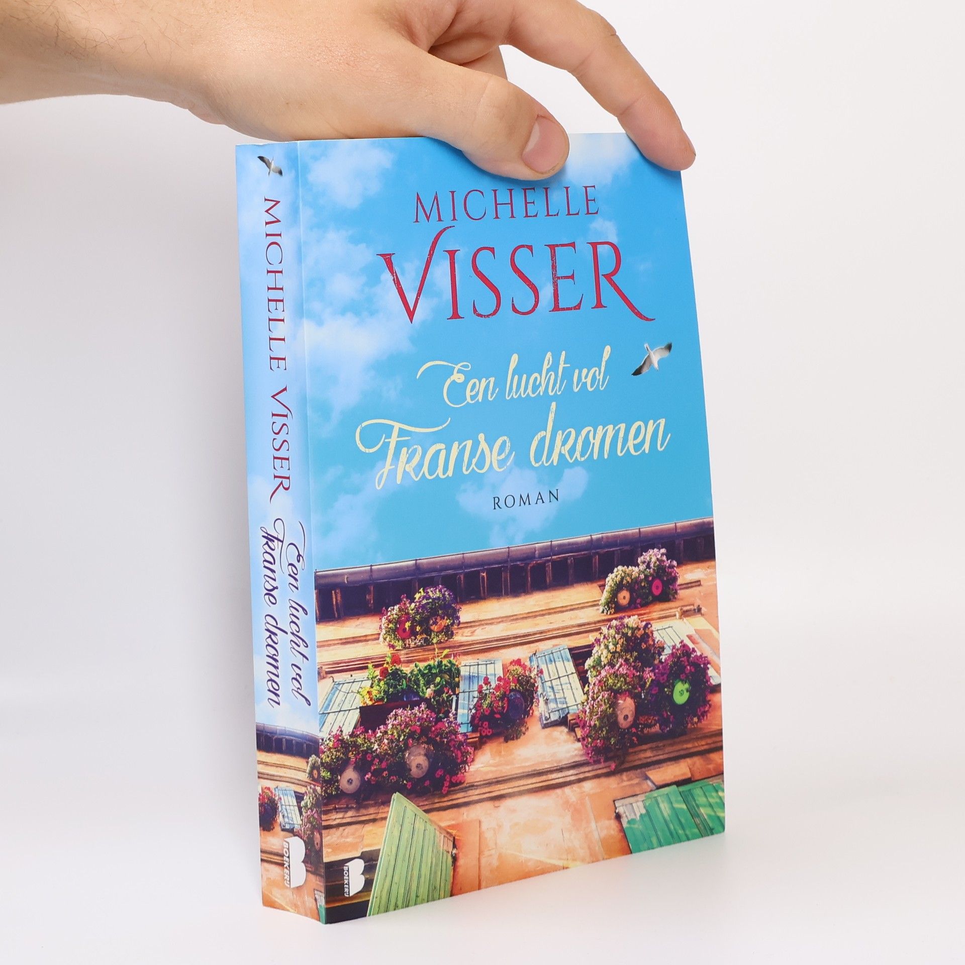 Een lucht vol Franse dromen