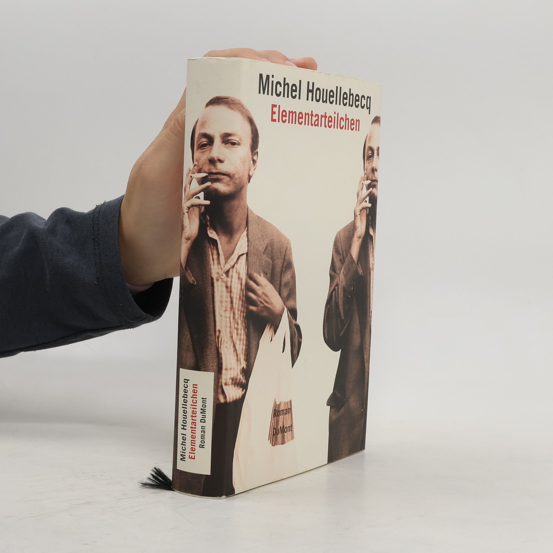 Michel Houellebecq Elementarteilchen