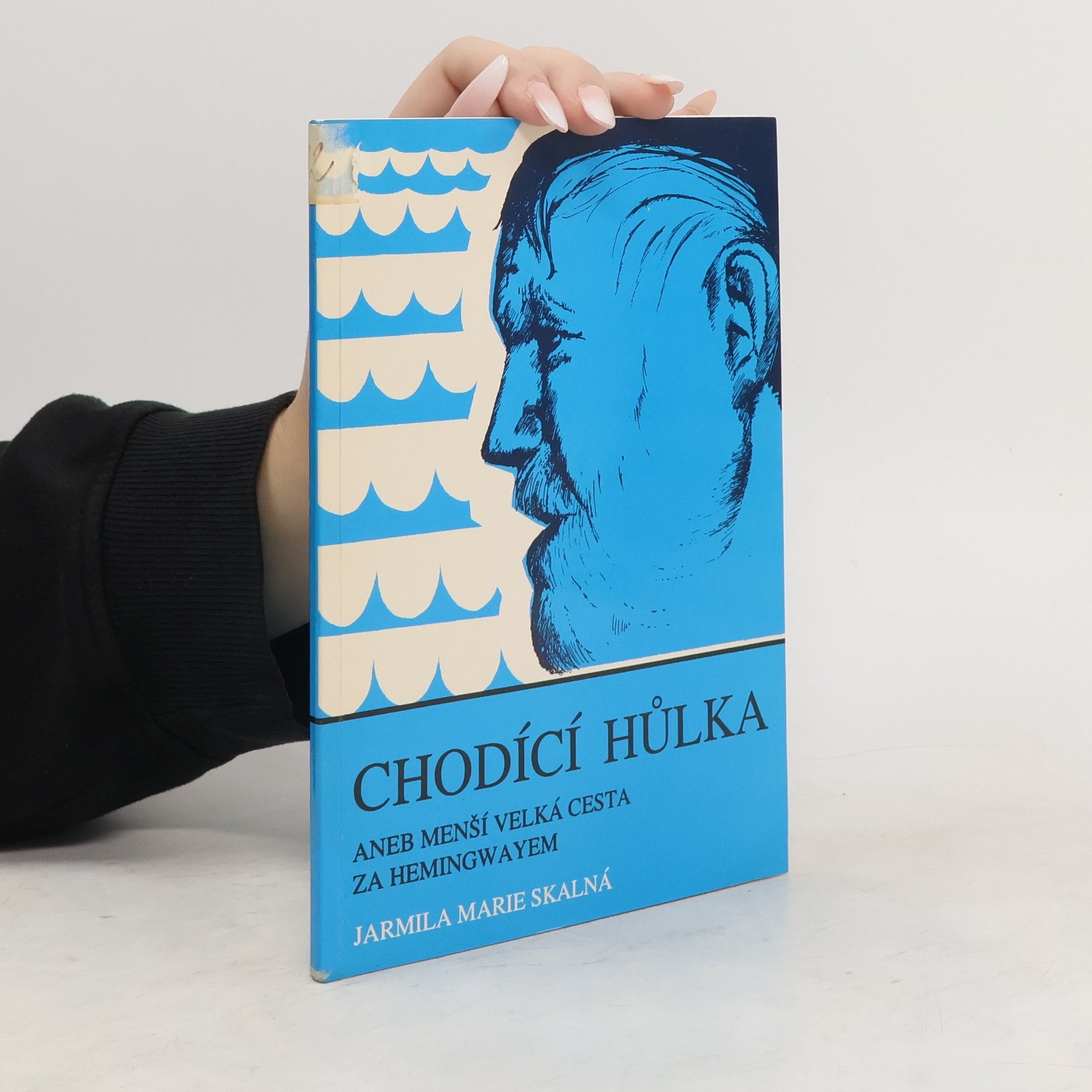 Chodící hůlka. Aneb, menší velká cesta za Hemingwayem