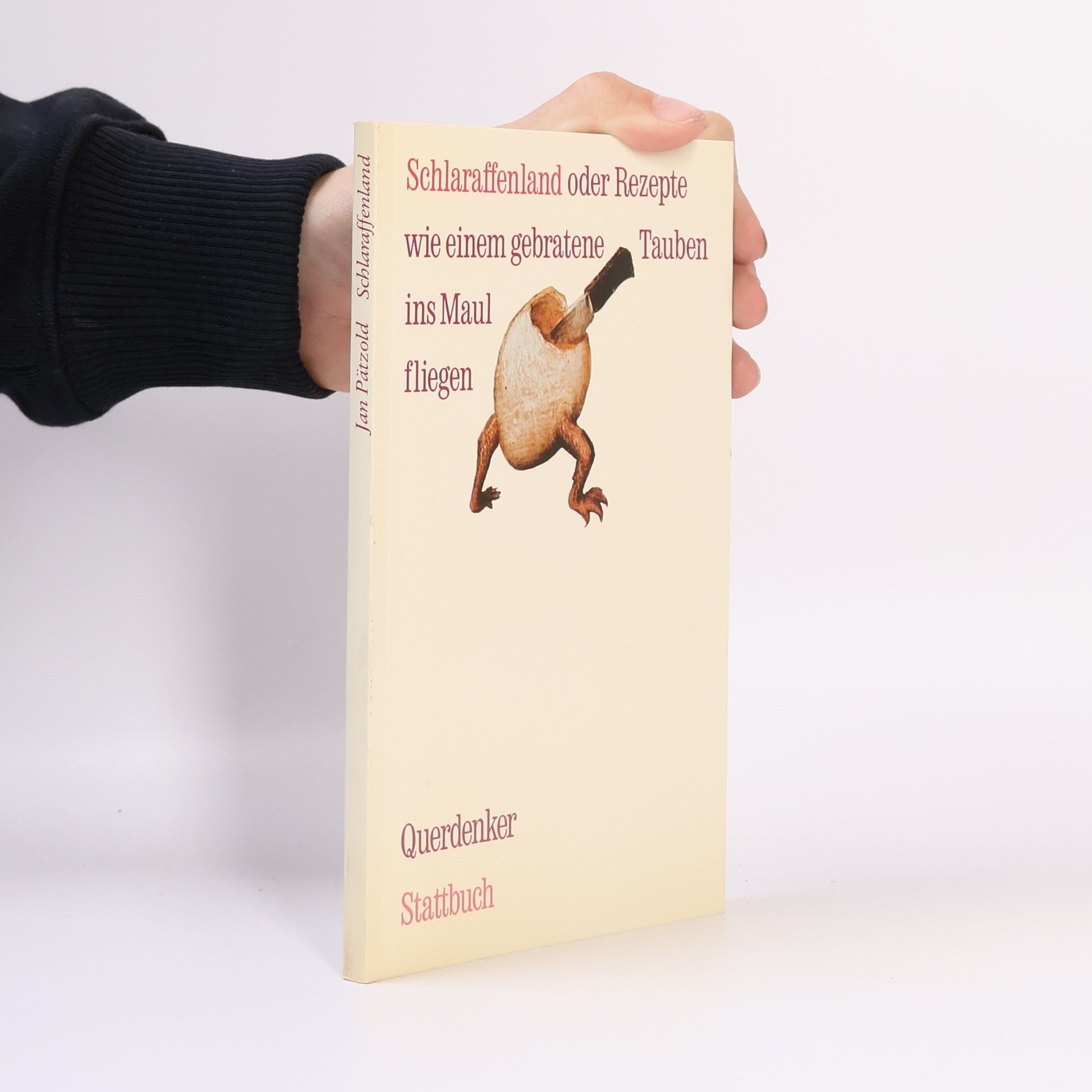 Jan Pätzold Schlaraffenland oder Rezepte, wie einem gebratene Tauben ins Maul fliegen