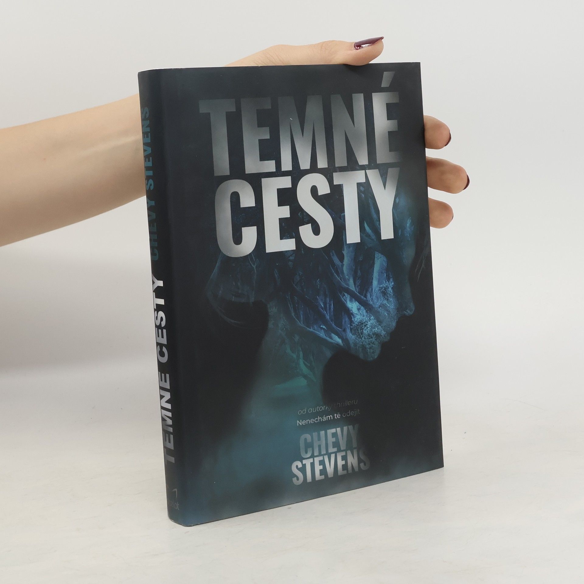 Chevy Stevens Temné cesty