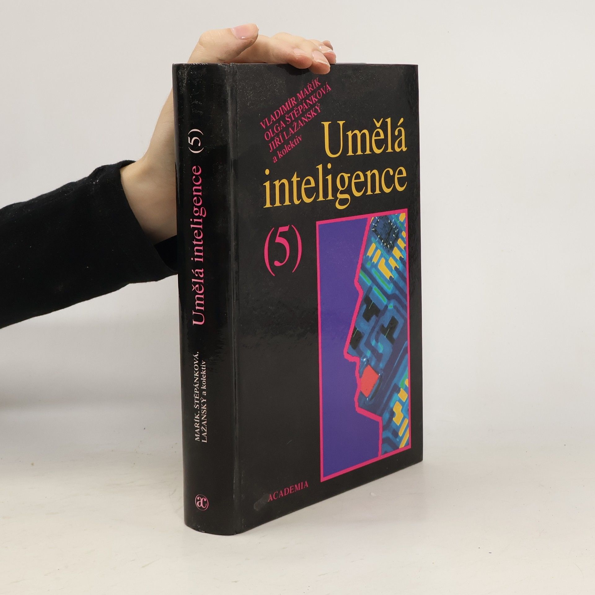 Vladimír Mařík Umělá inteligence (5)