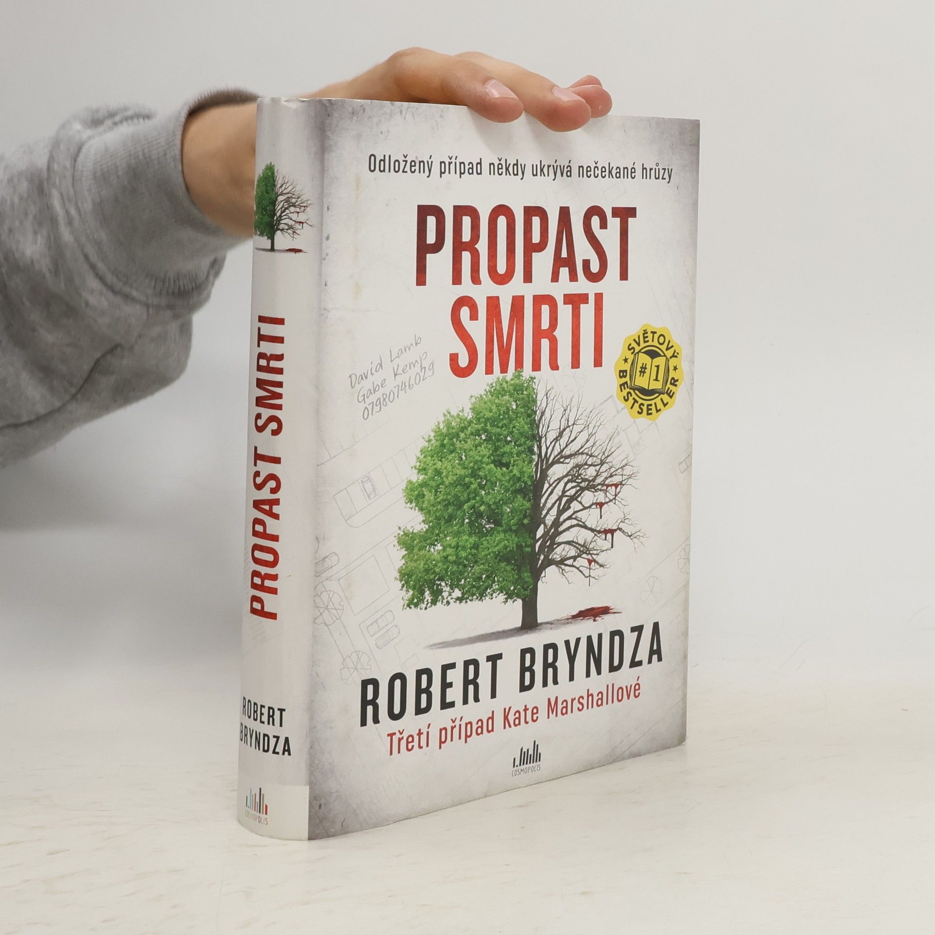 Robert Bryndza Propast smrti