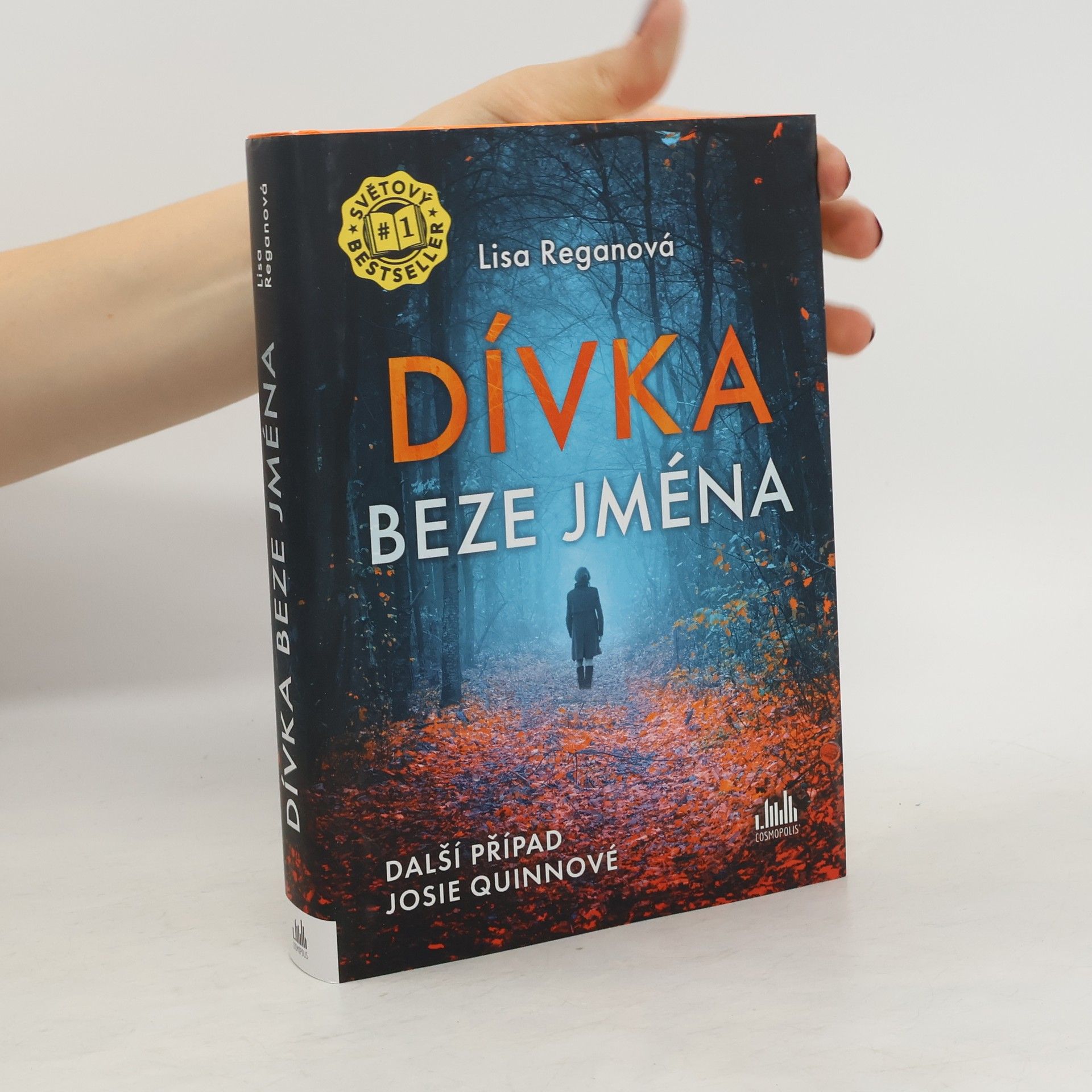 Lisa Regan Dívka beze jména: Další případ Josie Quinnové