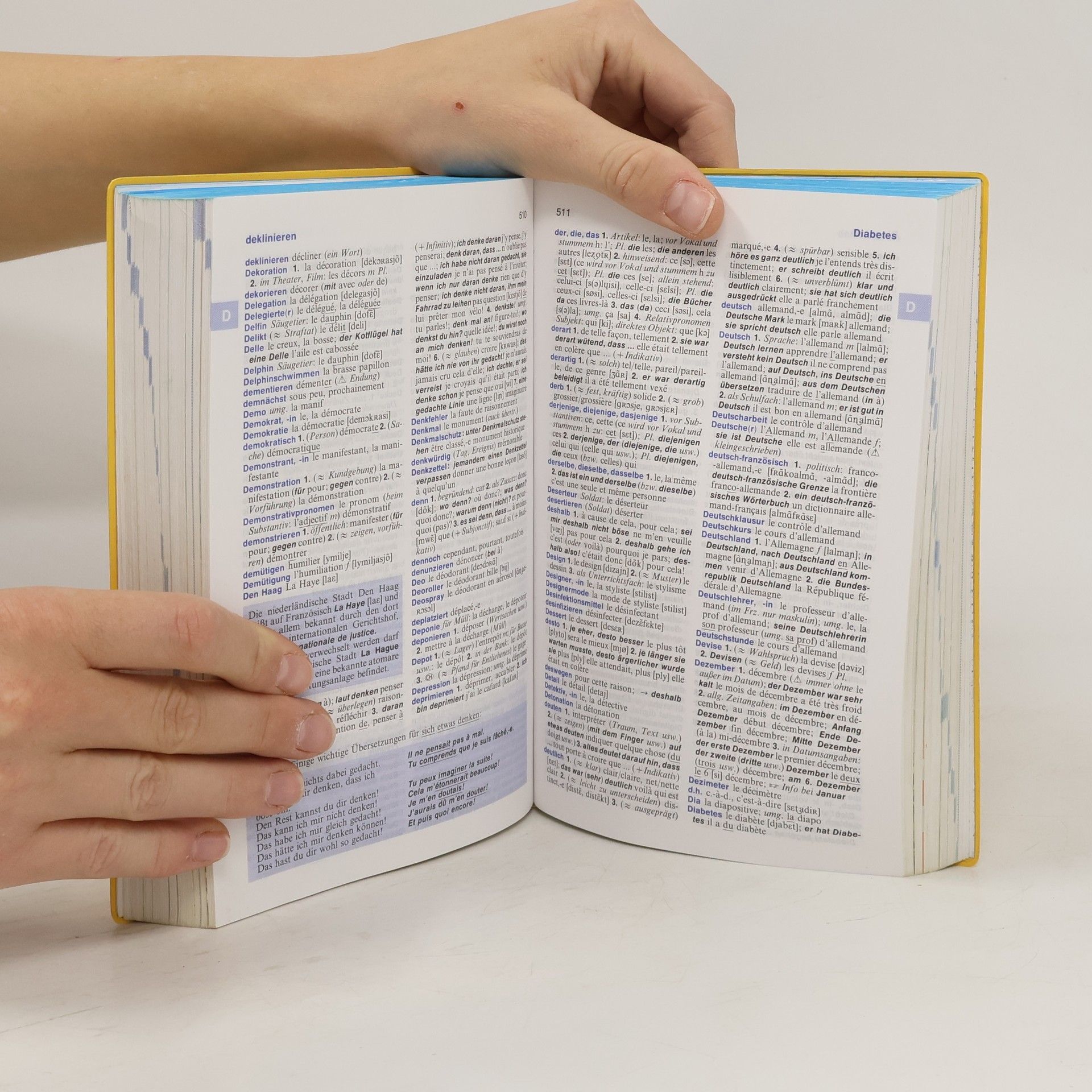 Autorenkollektiv Langenscheidts Power Wörterbuch : Französisch