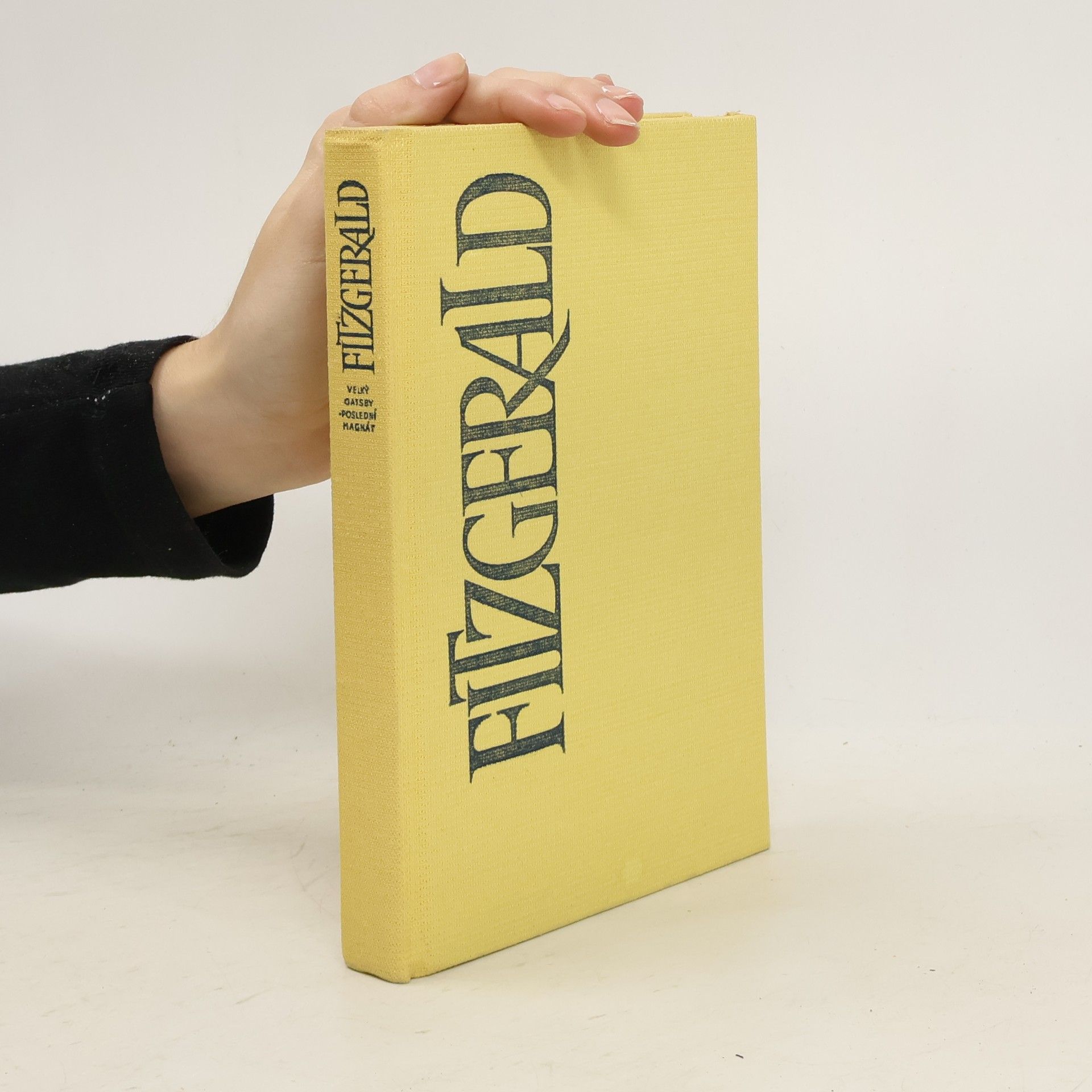 Francis Scott Fitzgerald Velký Gatsby. Poslední magnát