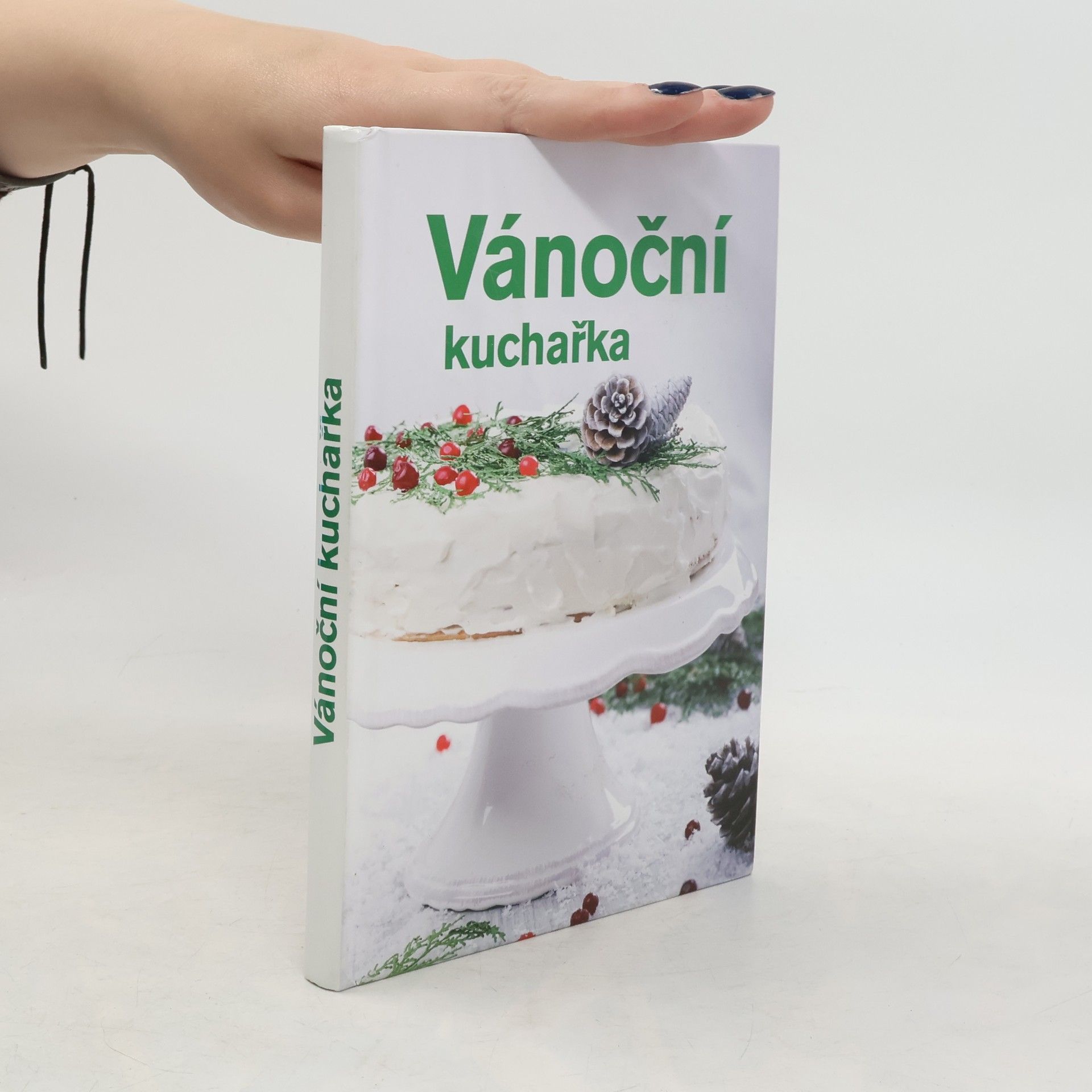 Andrea Malá Vánoční kuchařka