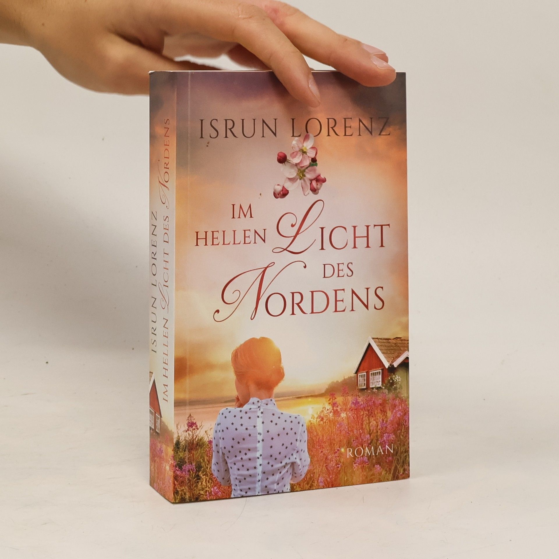 Isrun Lorenz Im helle Licht des Nordens