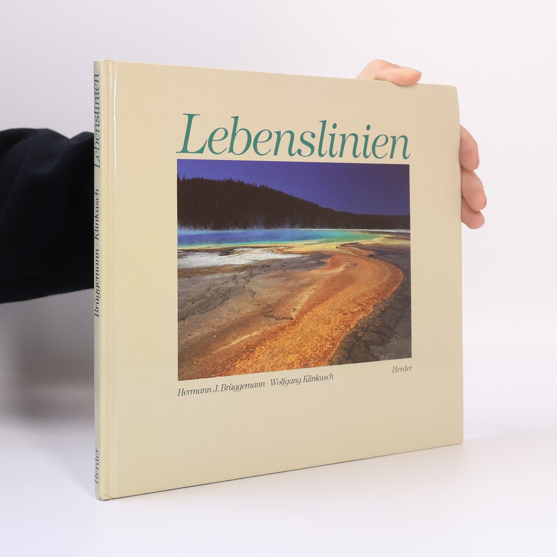 Collectif d'auteurs Lebenslinien