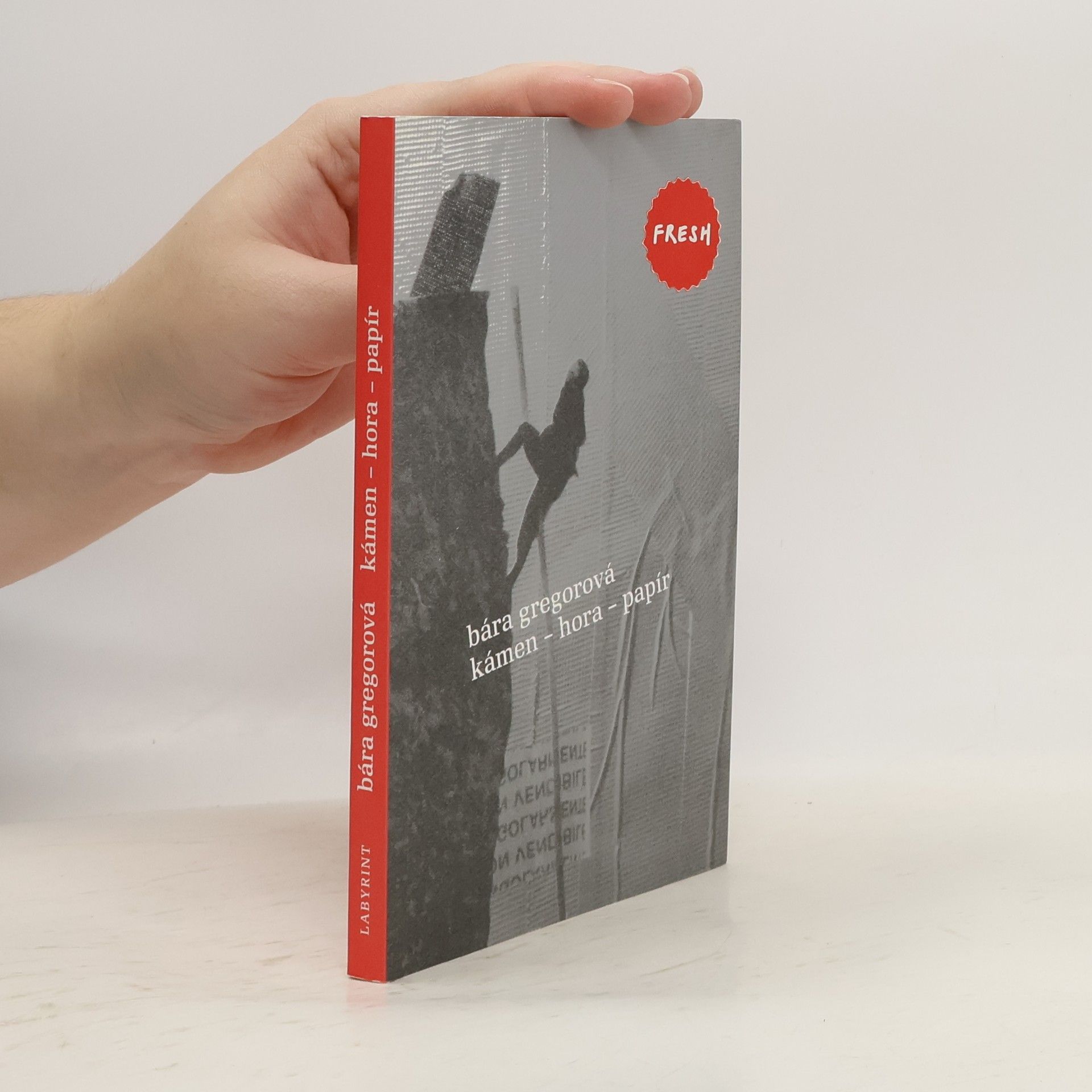 Bára Gregorová Kámen - hora - papír