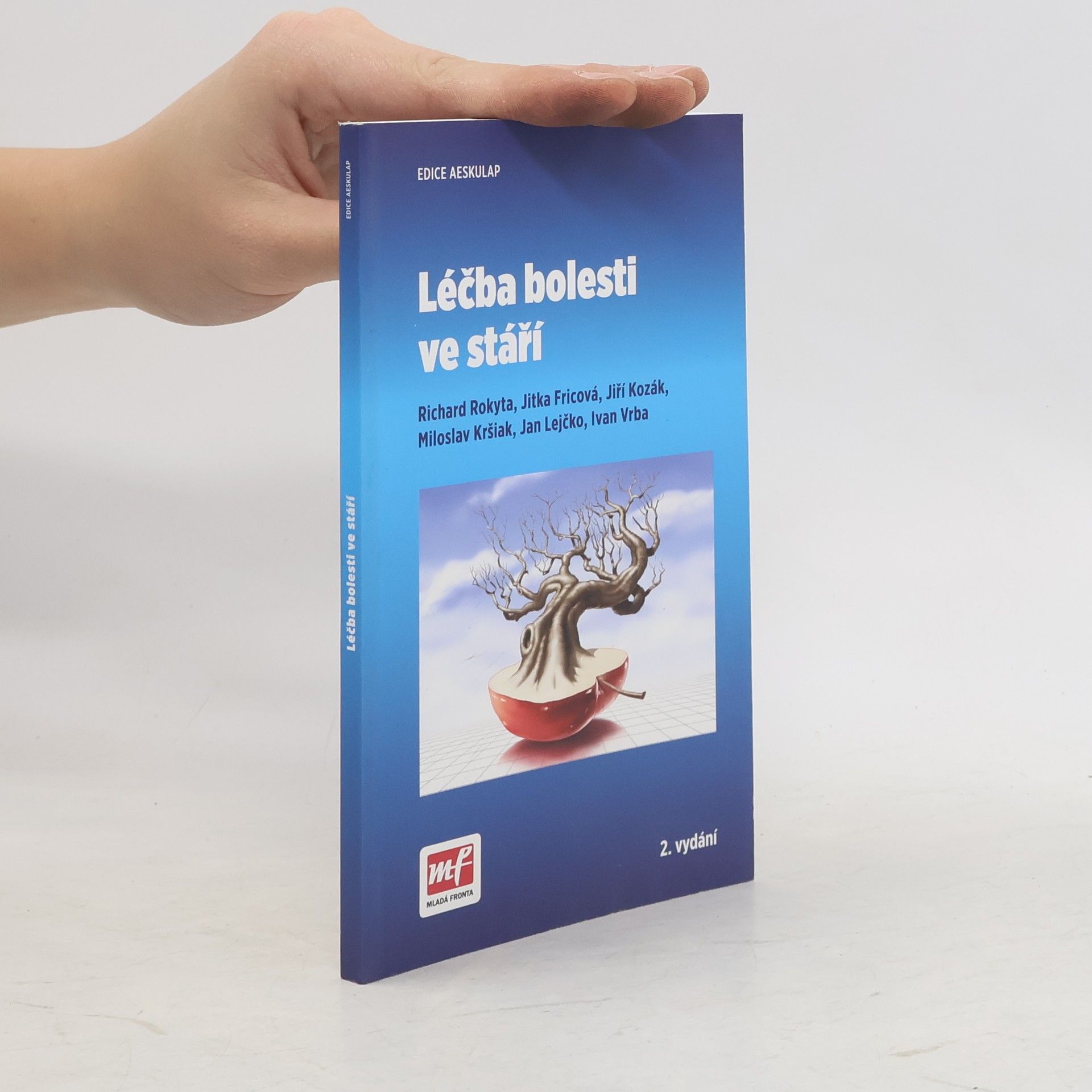 Kolektiv autorů Léčba bolesti ve stáří