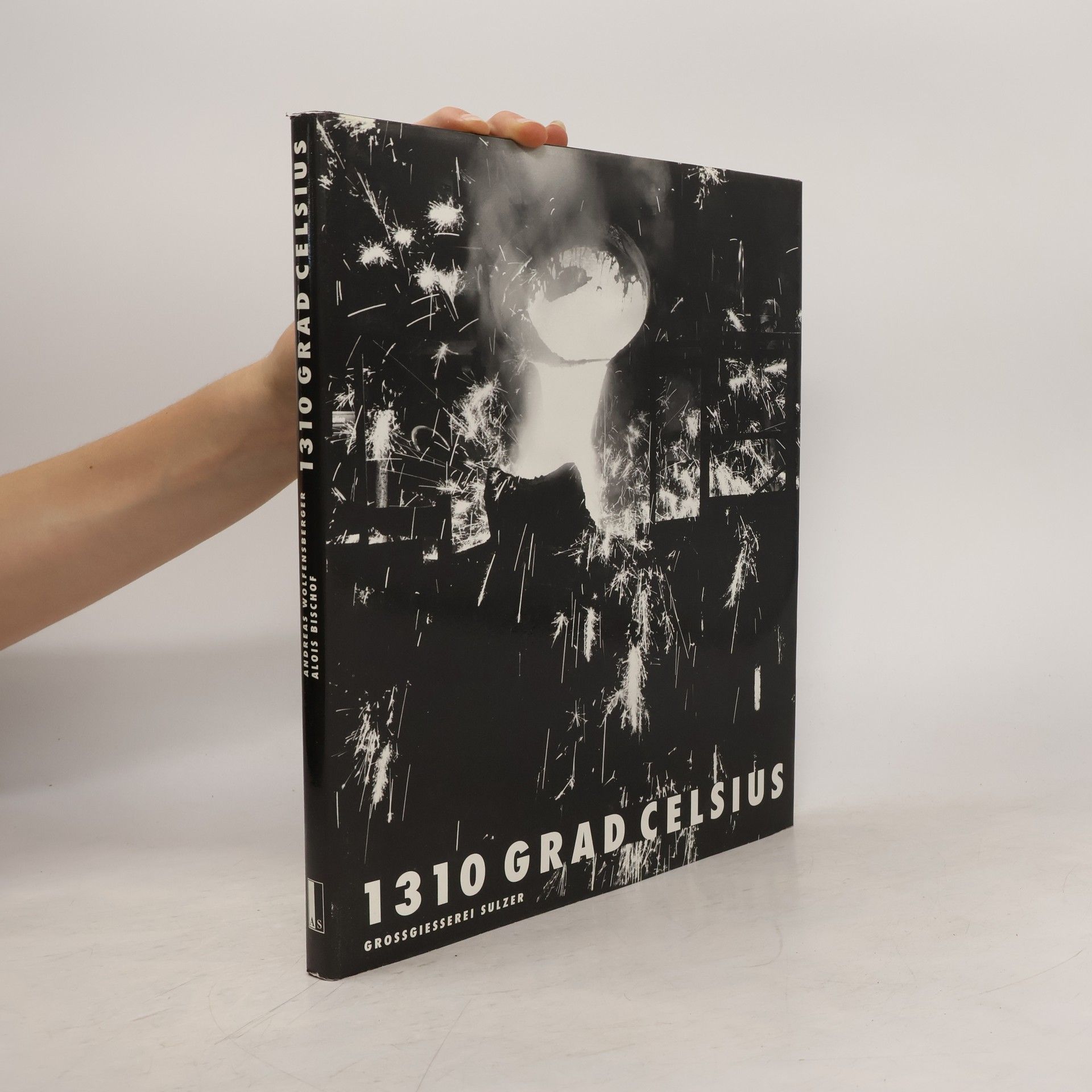 Andreas Wolfensberger 1310 Grad Celsius