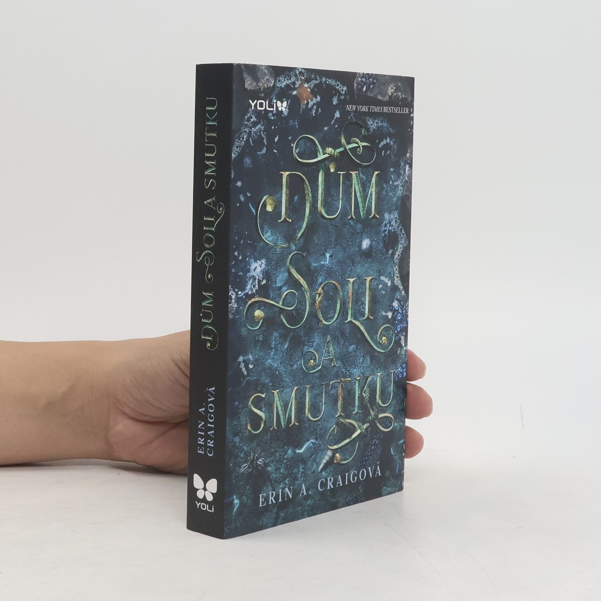 Erin A. Craig Dům soli a smutku