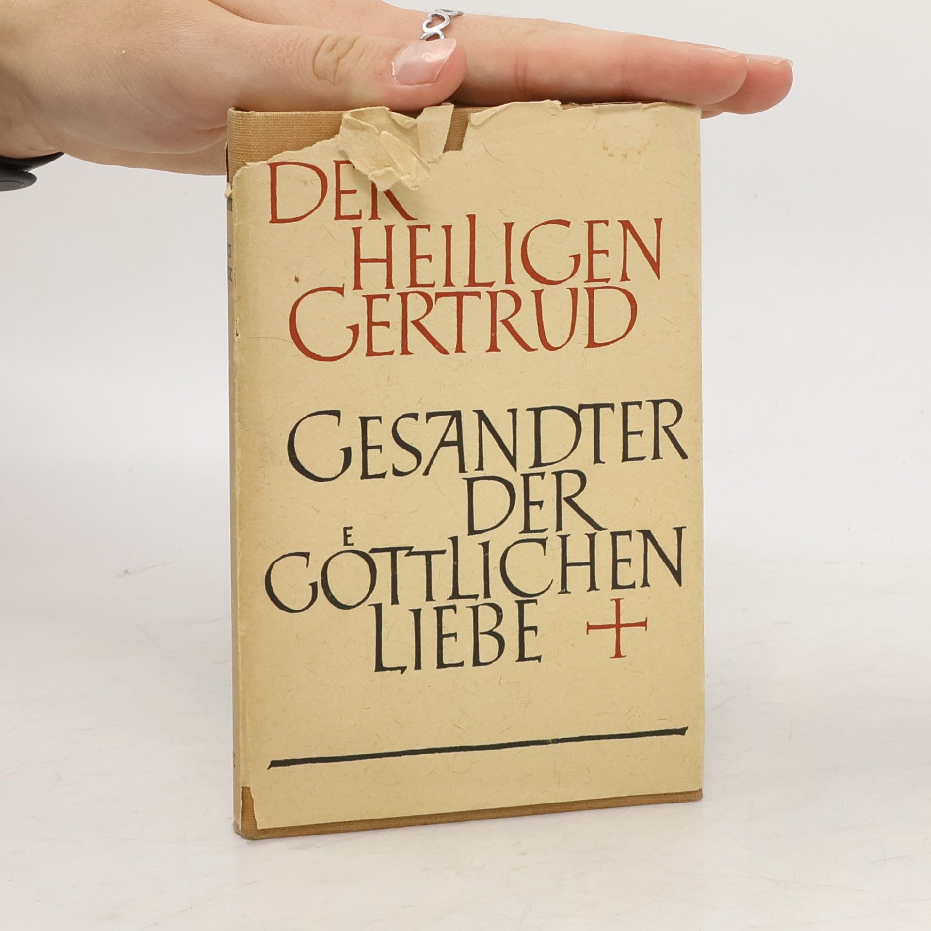 AA.VV. Gesandter der göttlichen Liebe