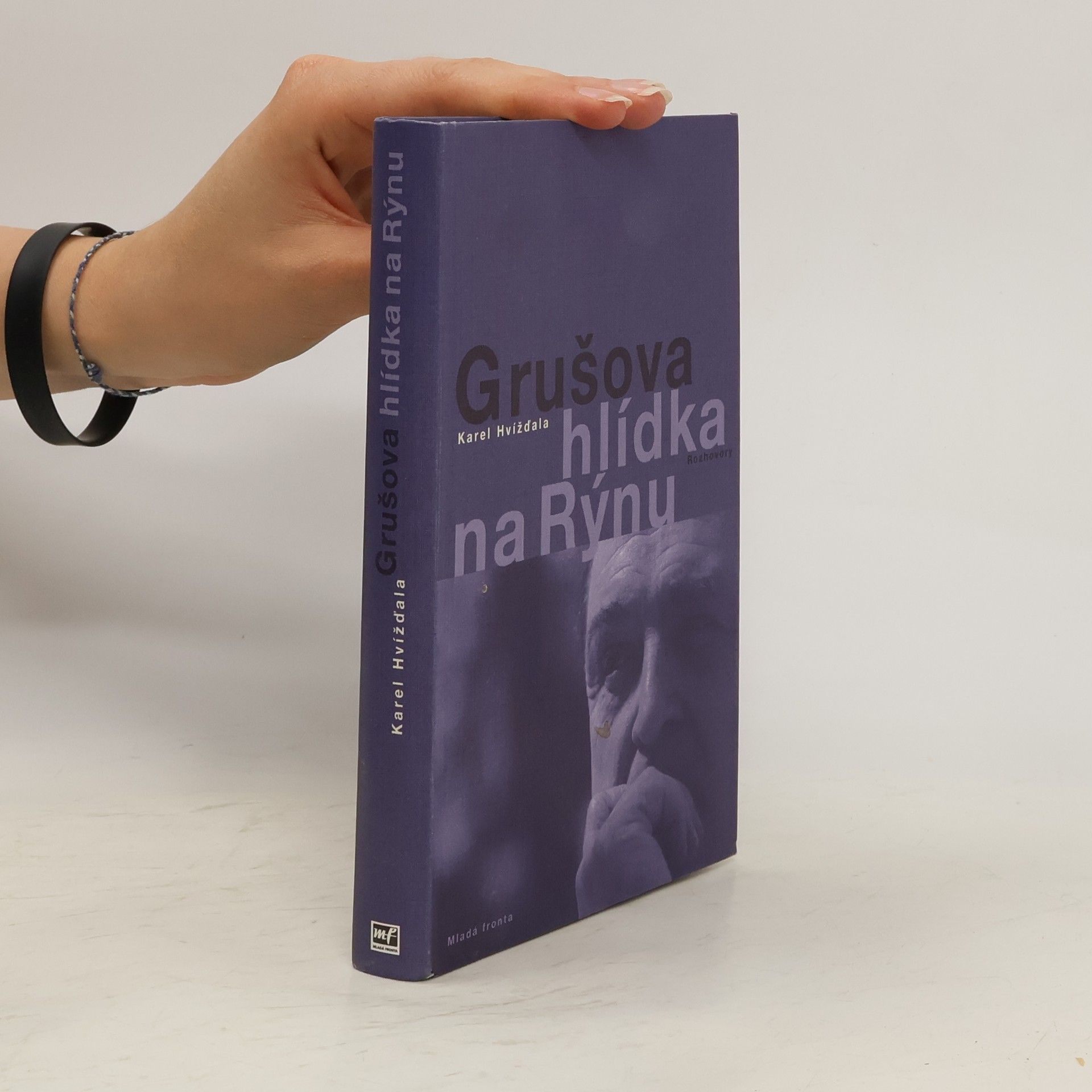 Jiří Gruša Grušova hlídka na Rýnu: Rozhovory z let 1983-2011