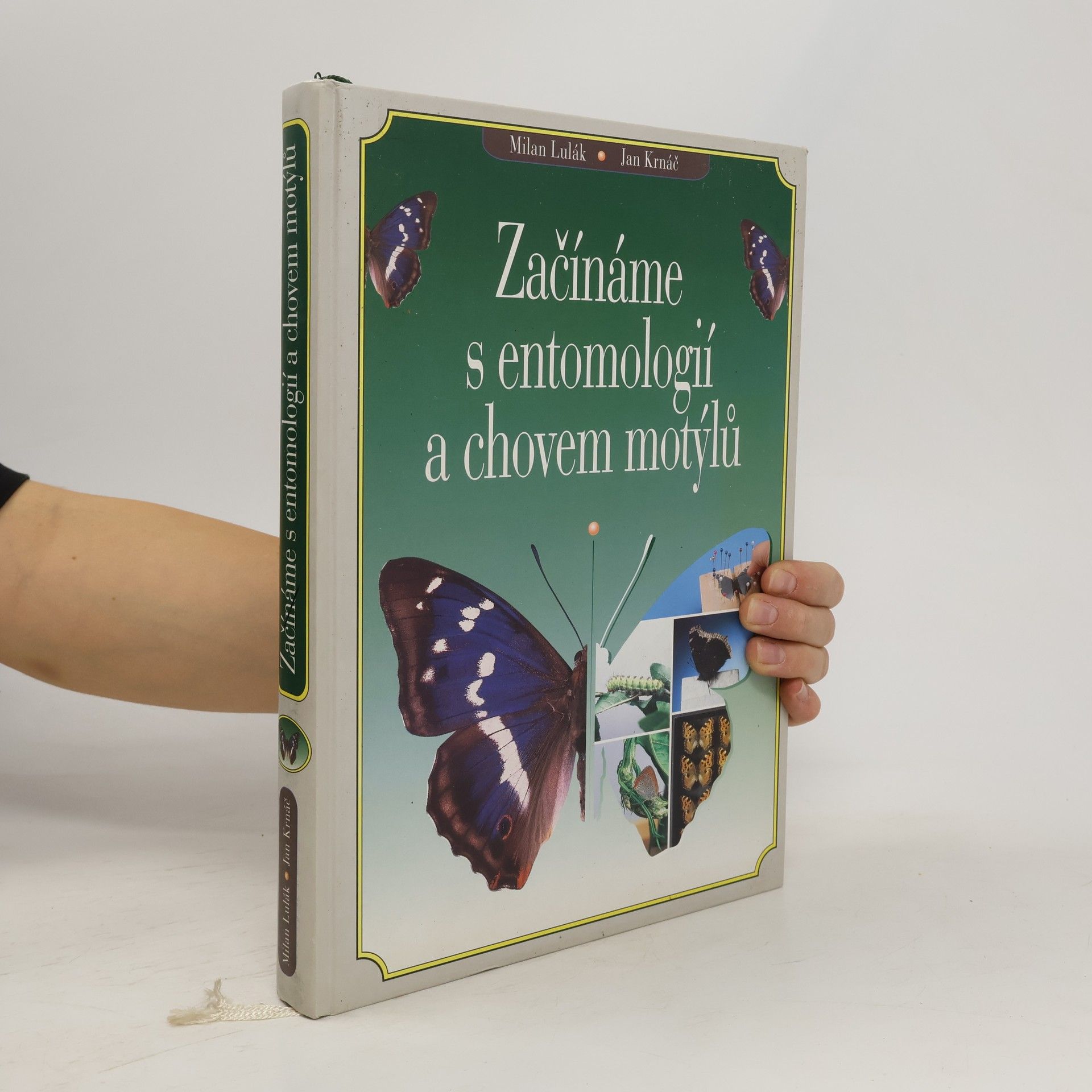 Začínáme s entomologií a chovem motýlů