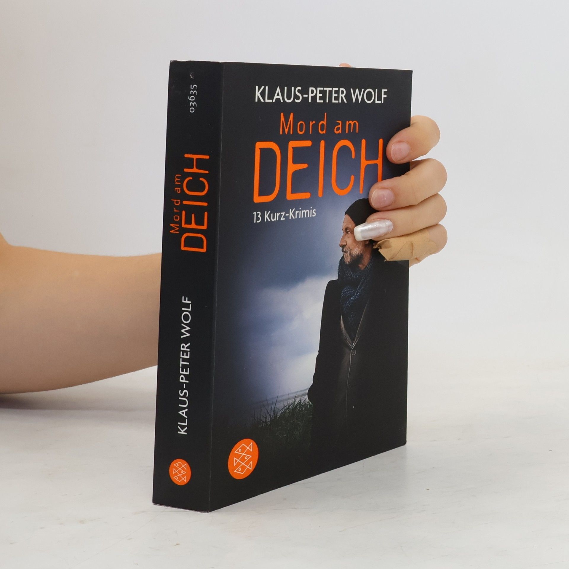 Klaus-Peter Wolf Mord am Deich